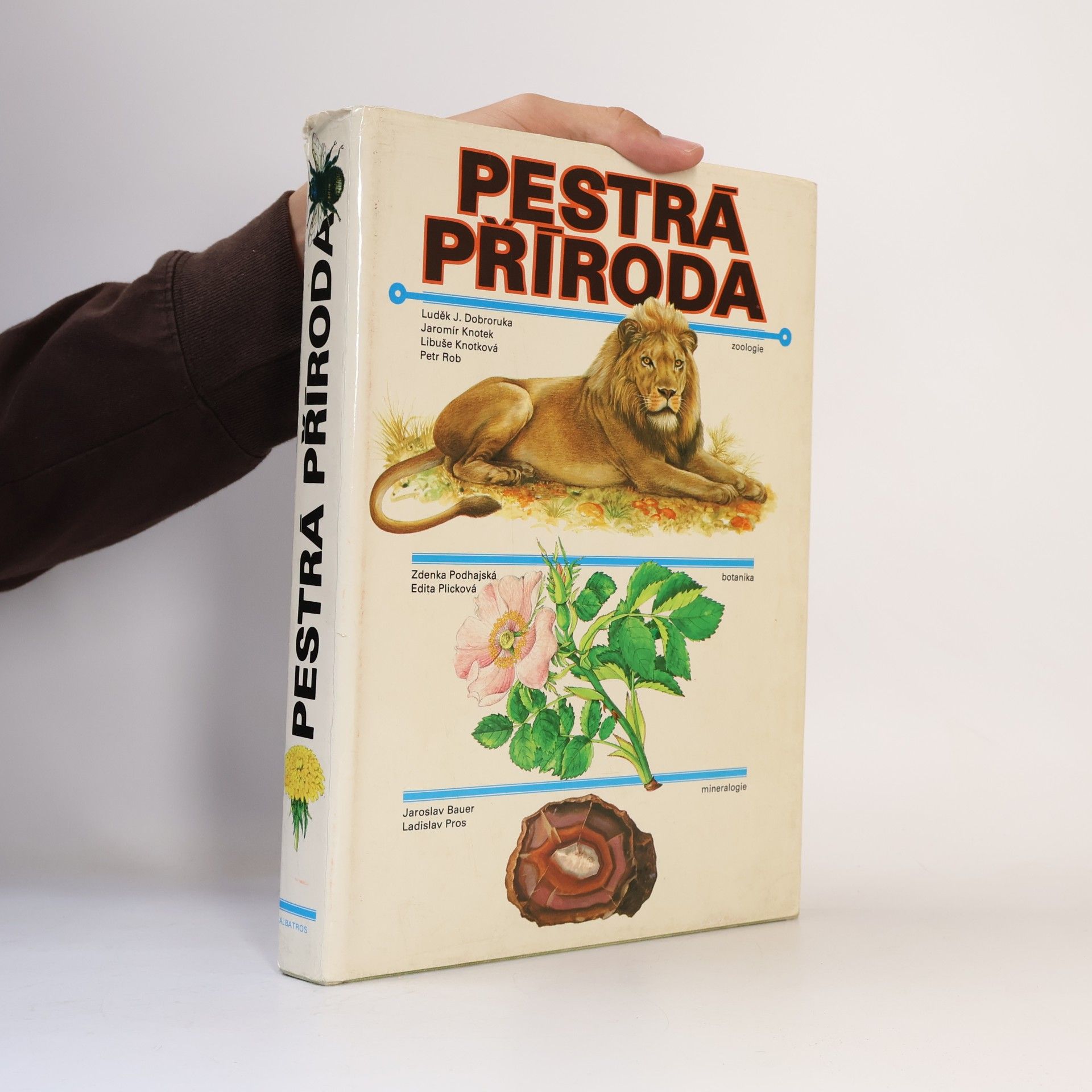Kolektiv autorů Pestrá příroda