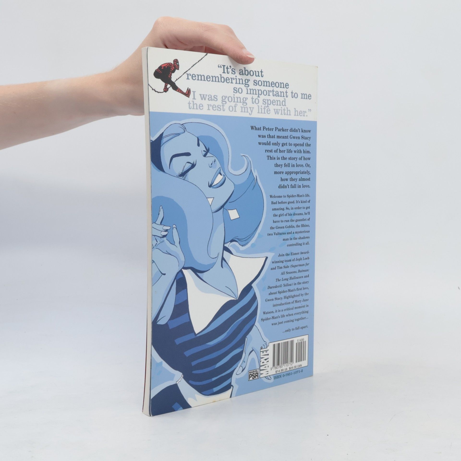 Jeph Loeb Spider-man: Blue
