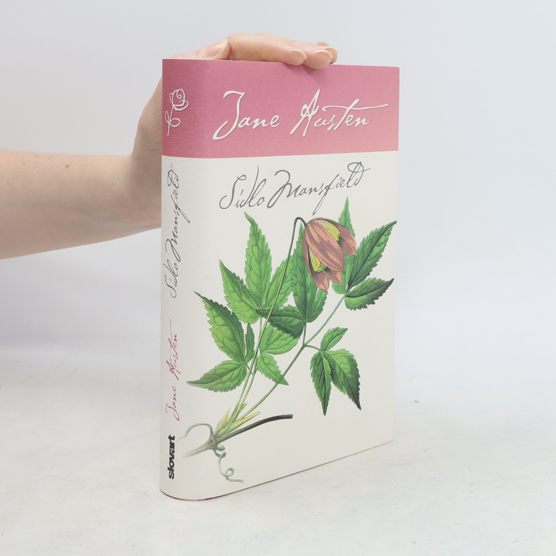 Jane Austen Sídlo Mansfield