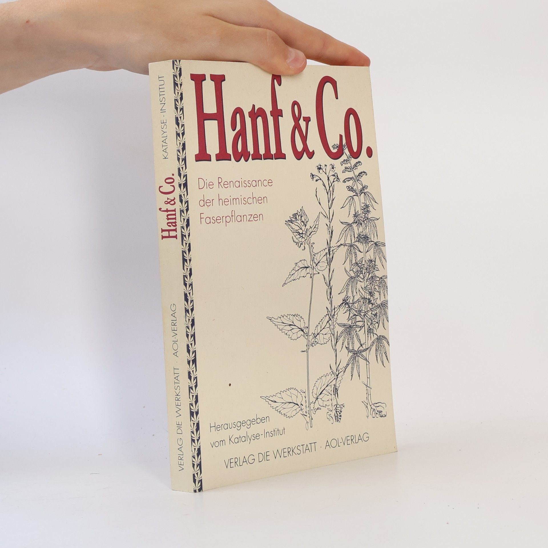 Katalyse-Institut Hanf & Co