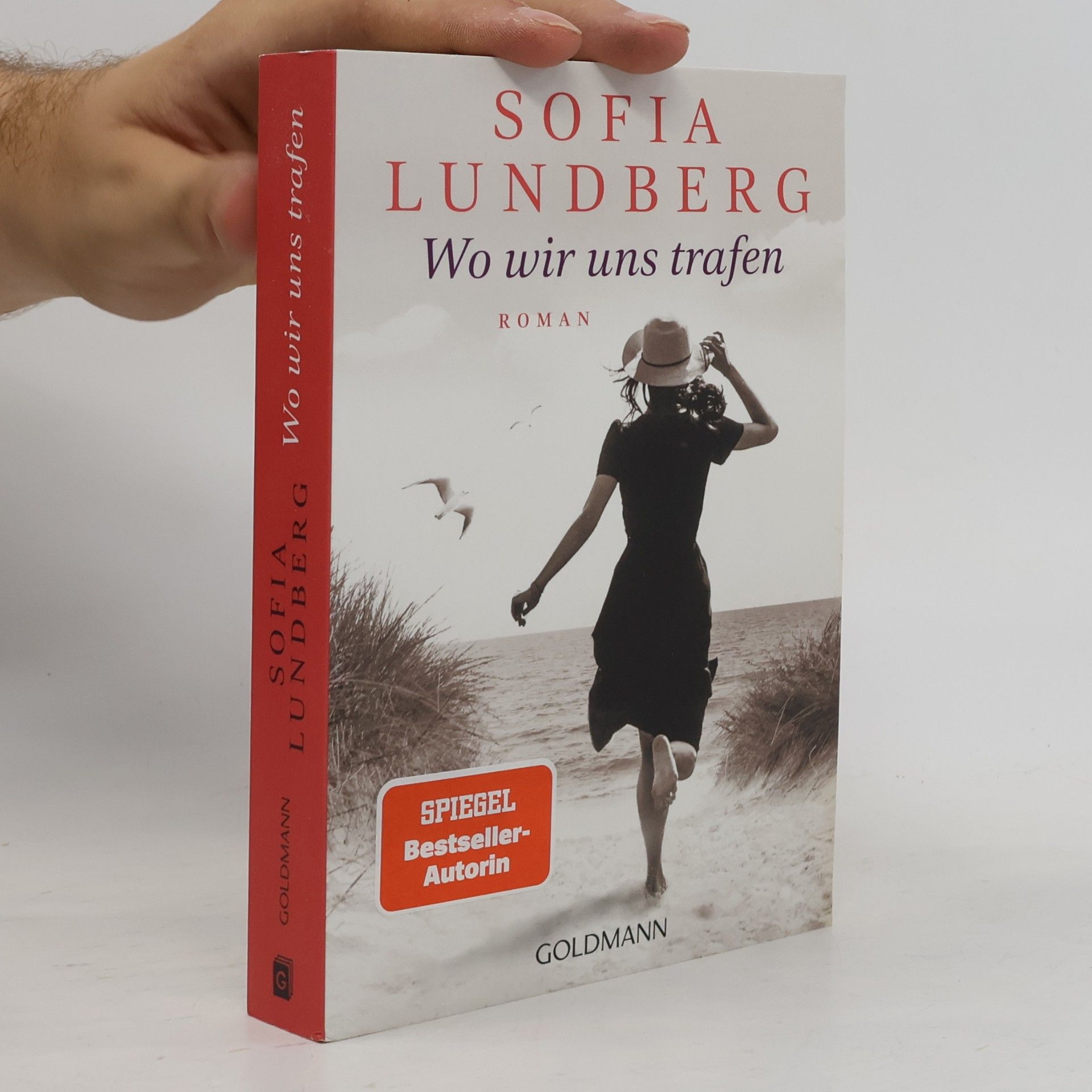 Sofia Lundberg Wo wir uns trafen