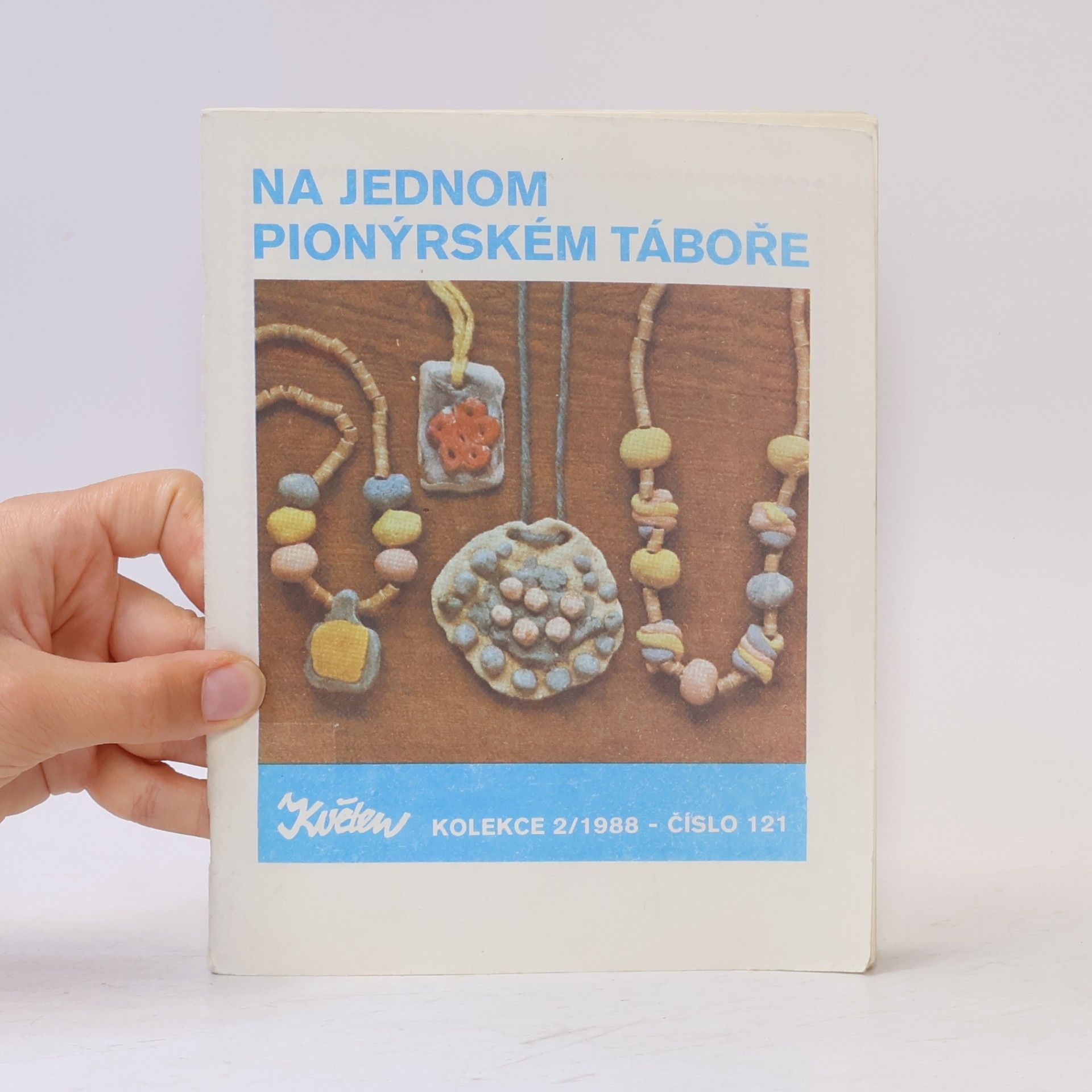 Danuše Přibylová Na jednom pionýrském táboře