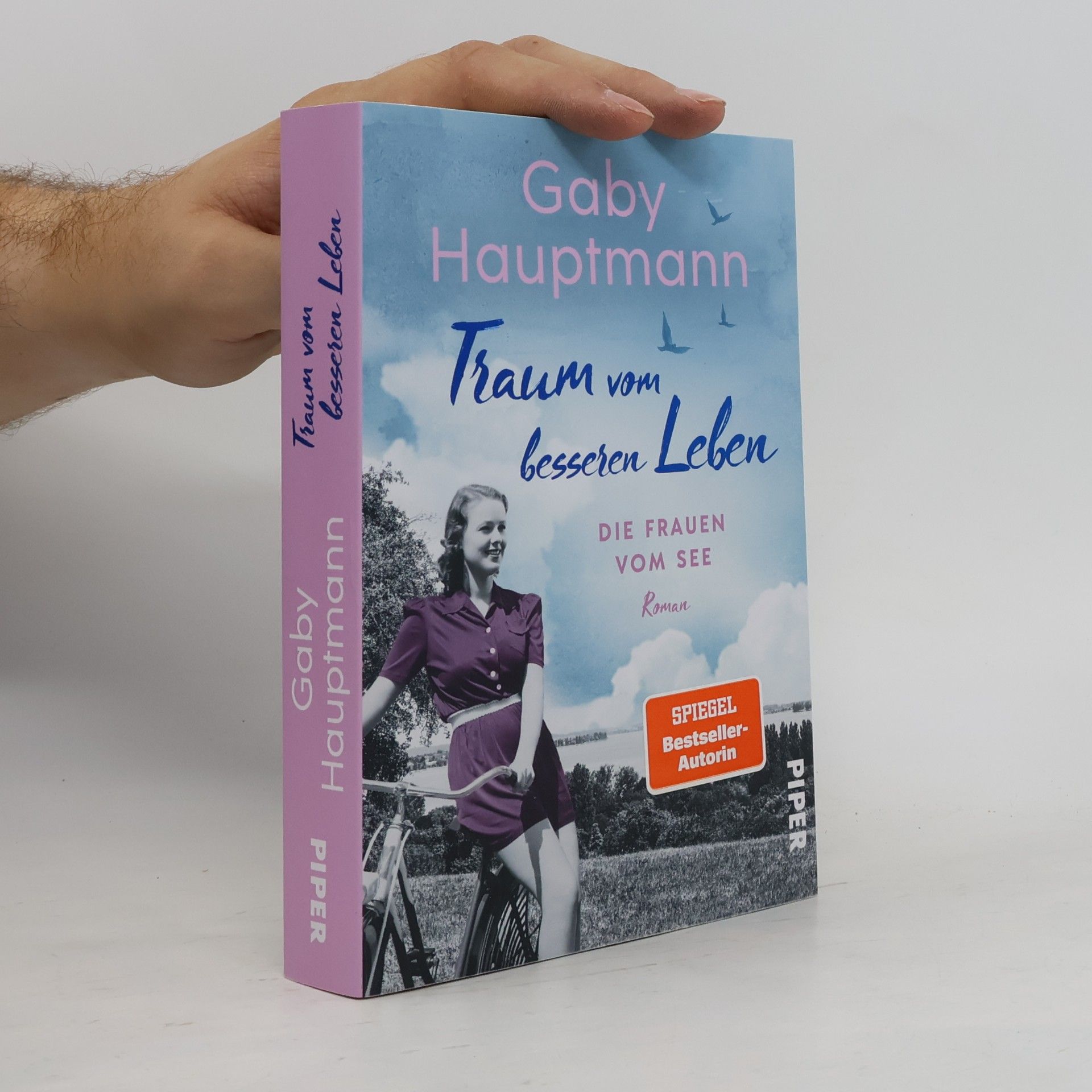 Traum vom besseren Leben / Die Frauen vom See Bd.2