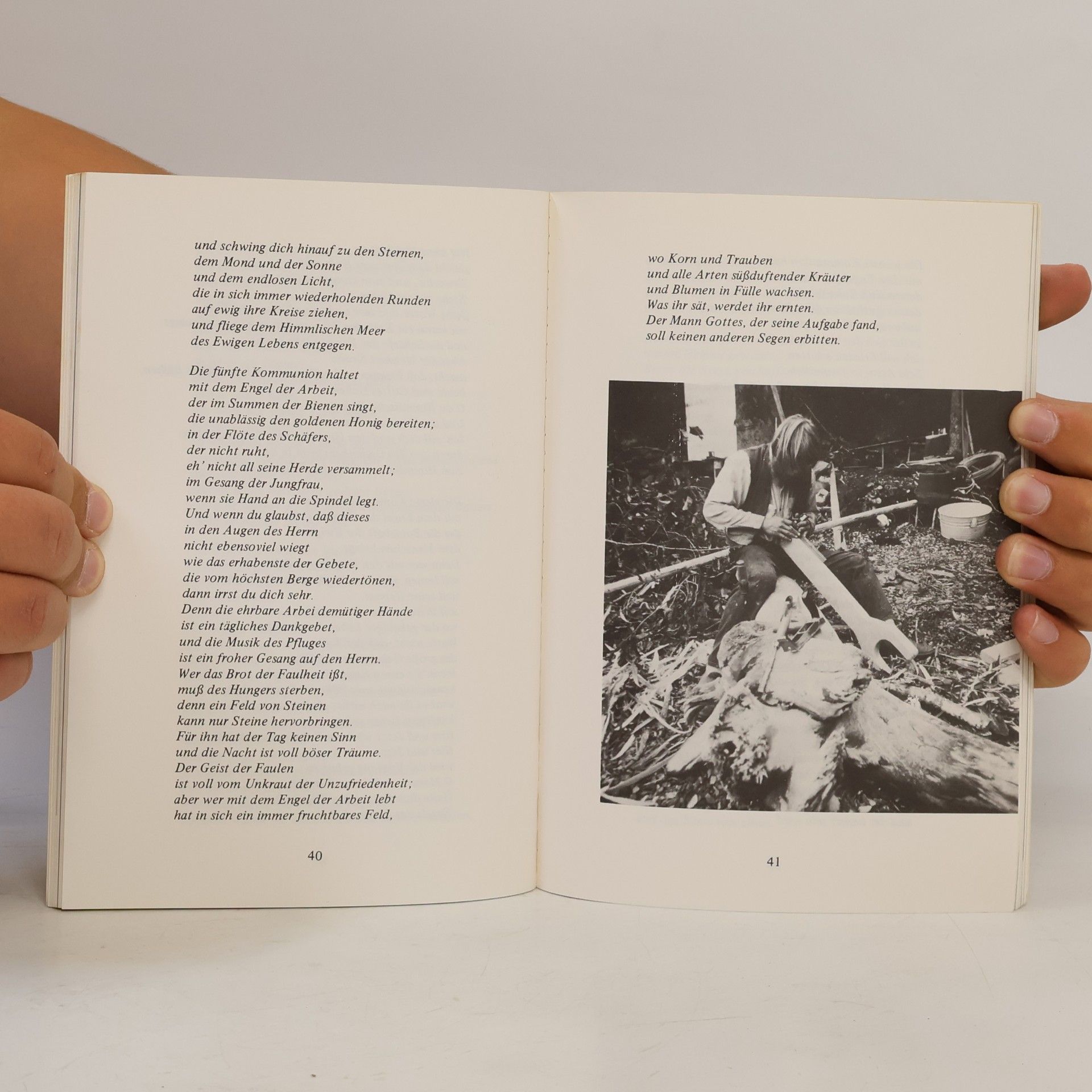 Edmund Bordeaux Szekely Die unbekannten Schriften der Essener - Buch 2