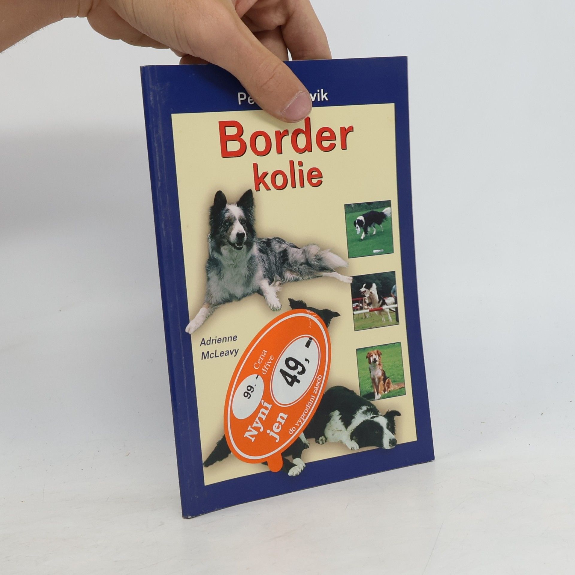 Border kolie