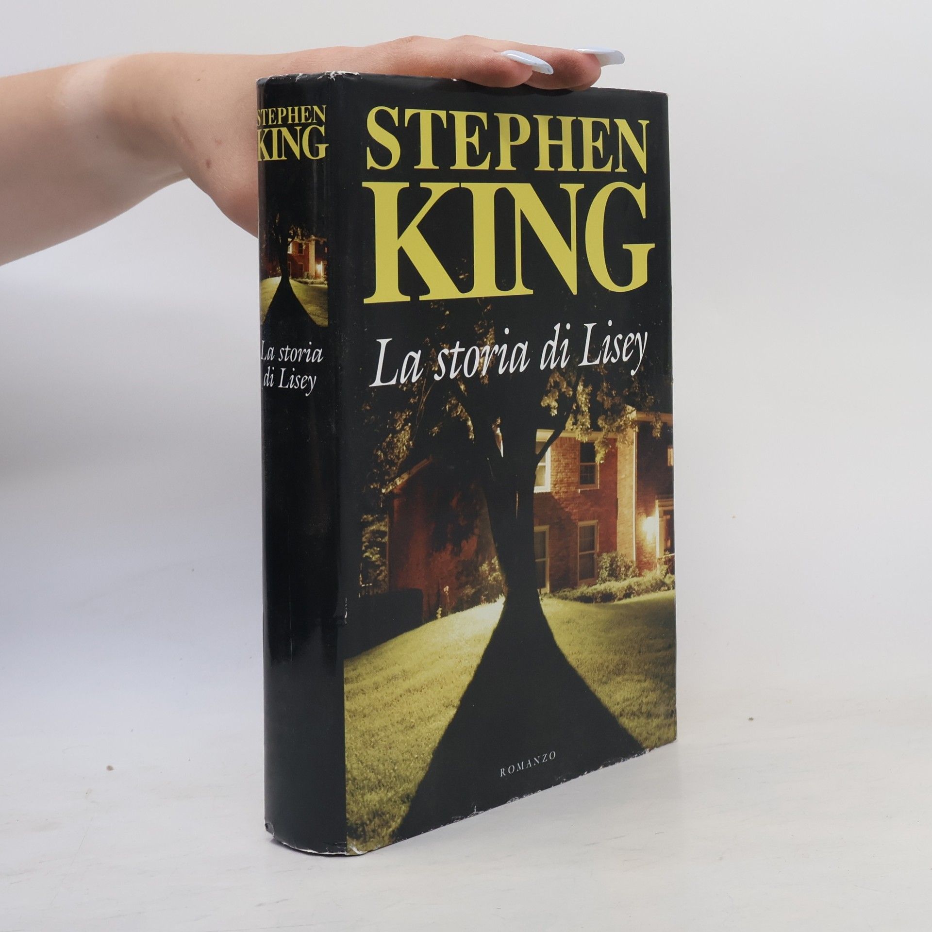 Stephen King La storia di Lisey