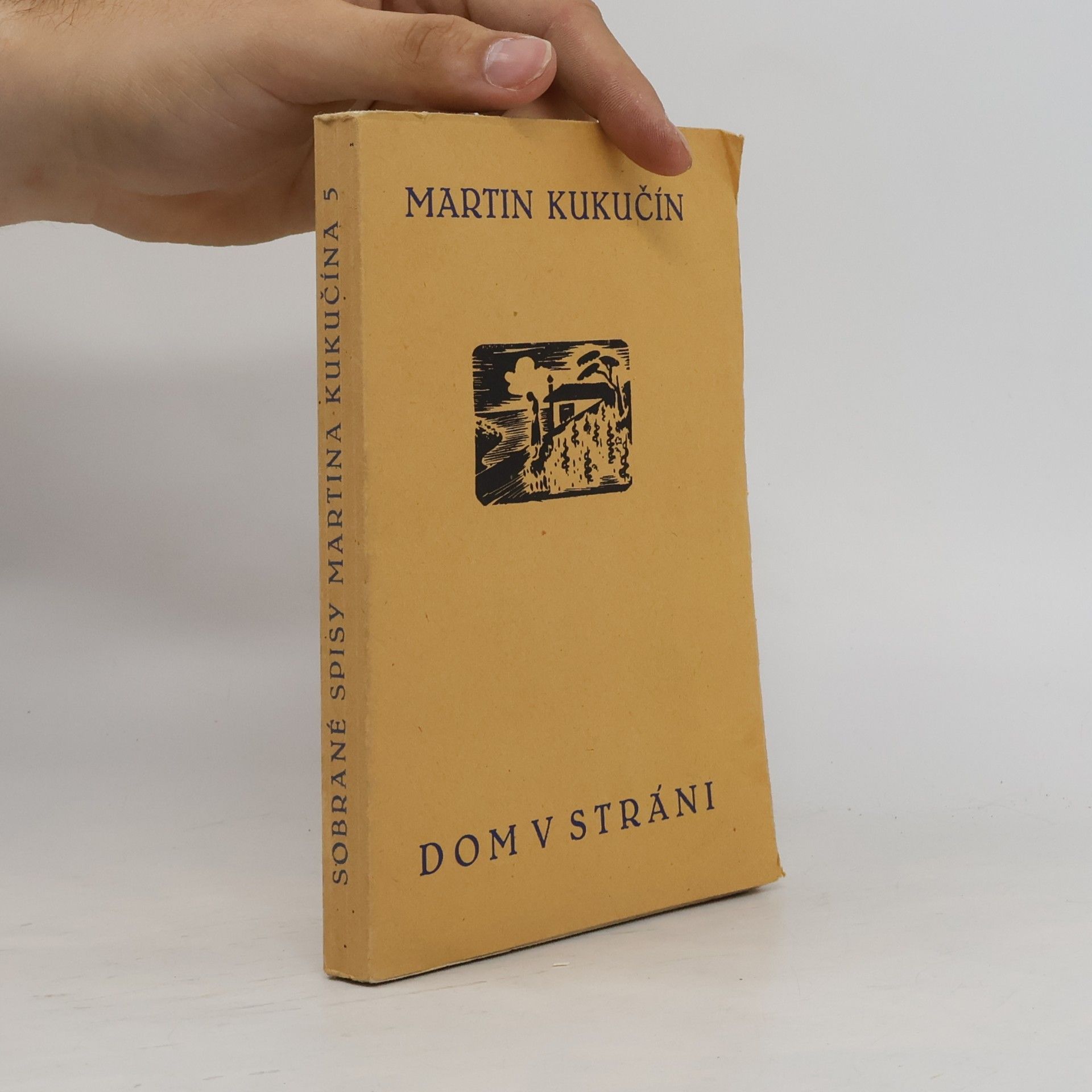 Martin Kukučín Dom v stráni