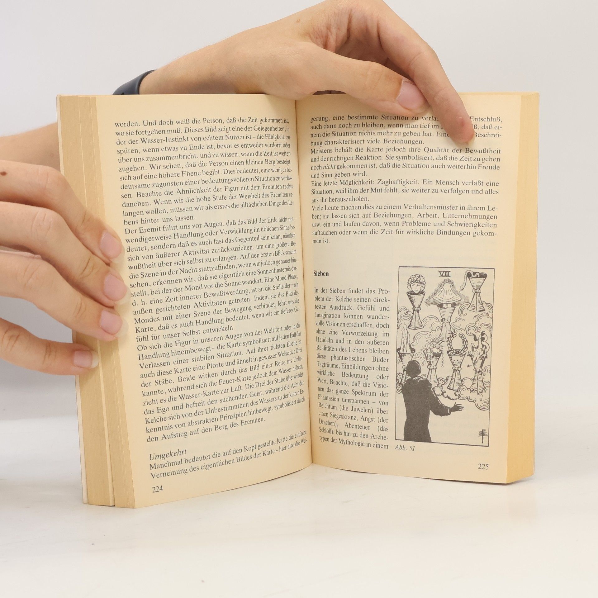 Rachel Pollack Tarot - 78 Stufen der Weisheit