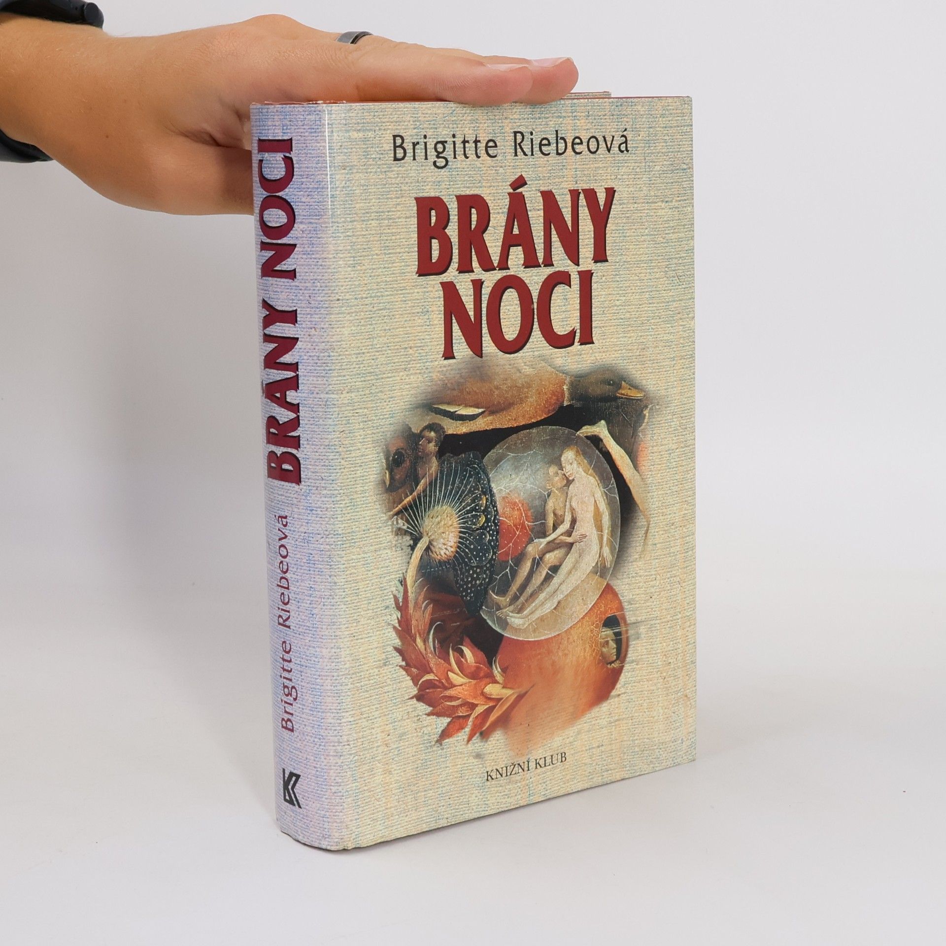 Brigitte Riebe Brány noci