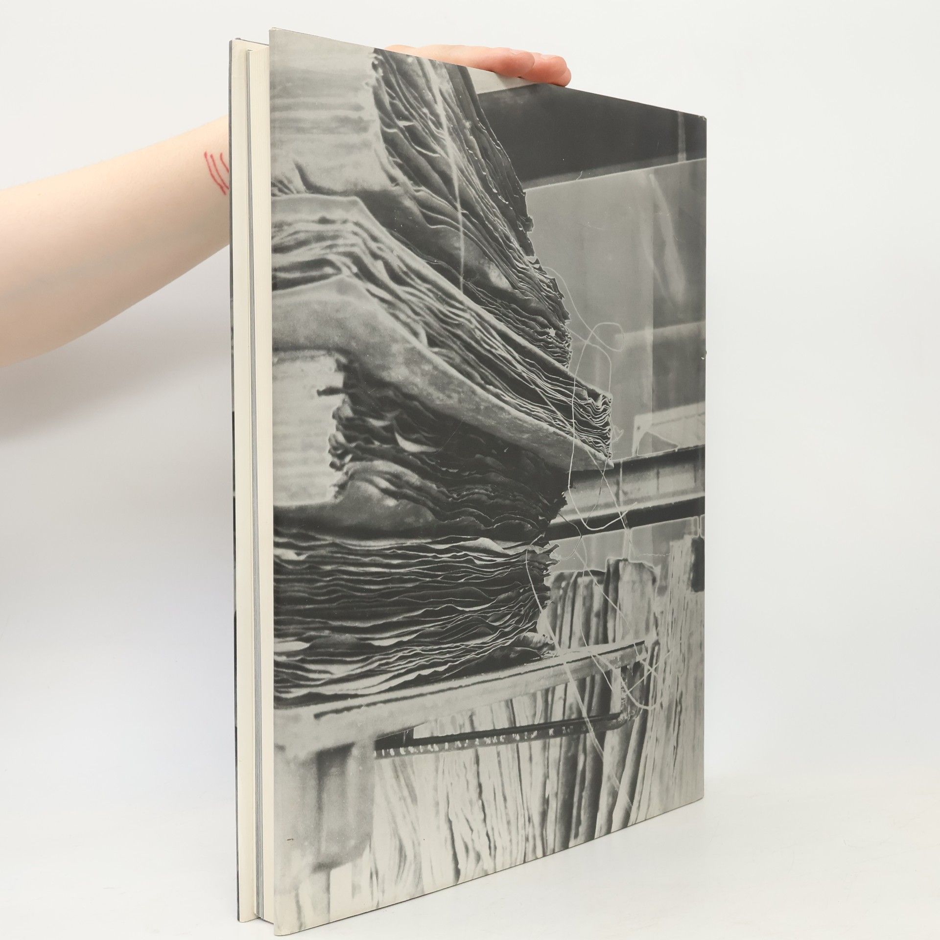 Anselm Kiefer Zweistromland