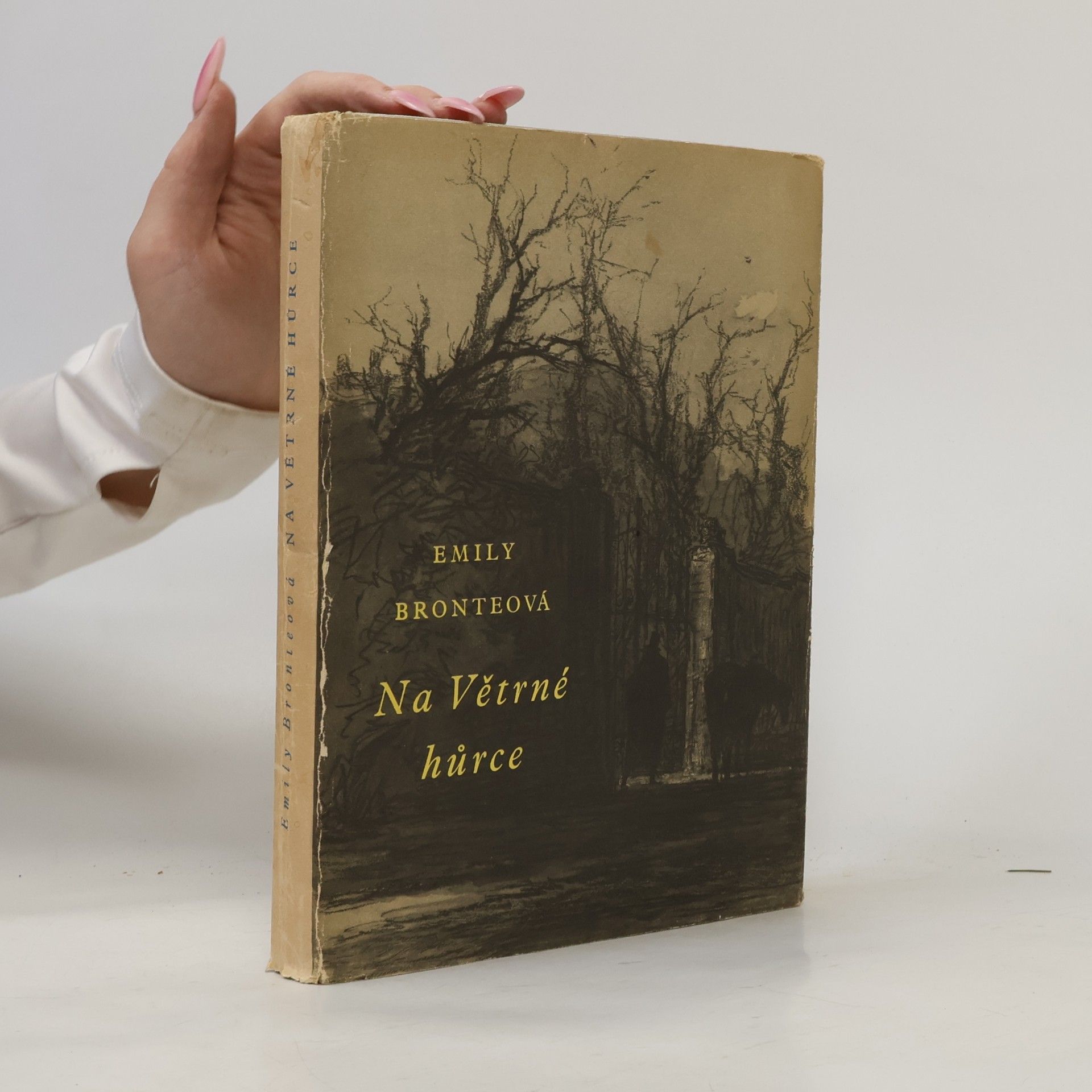 Emily Brontë Na Větrné hůrce