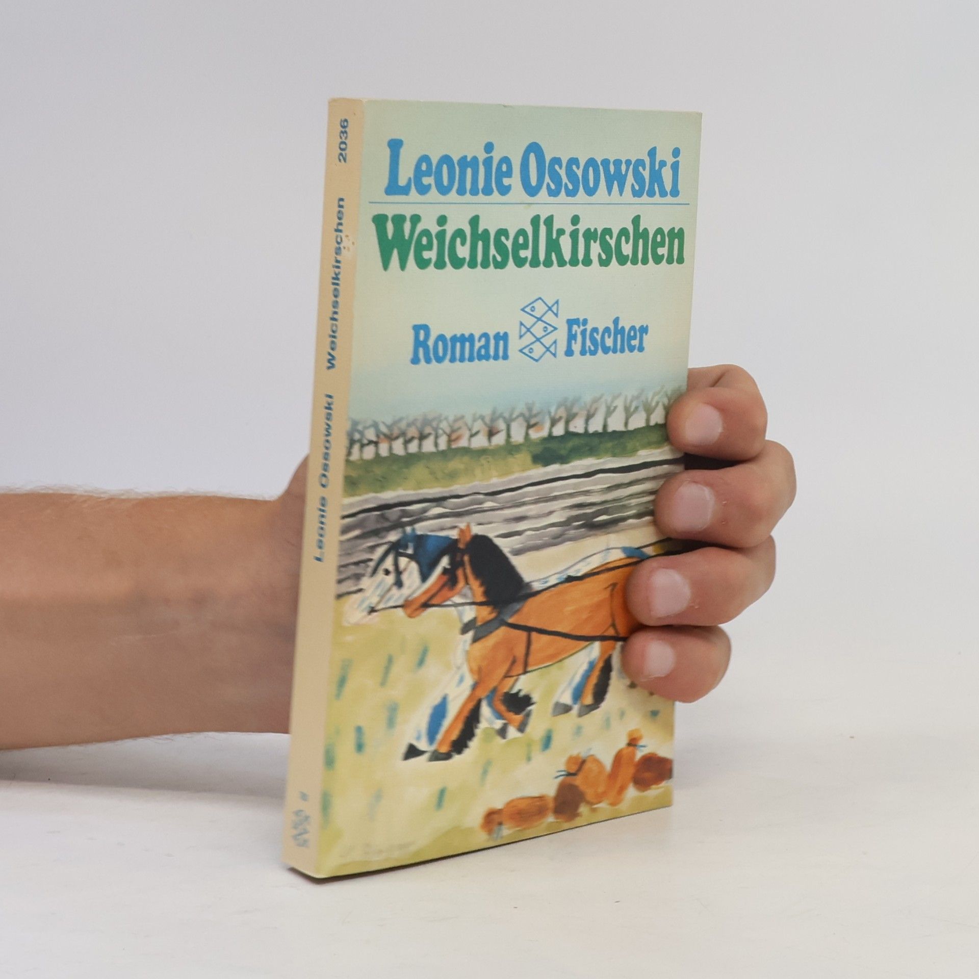 Weichselkirschen