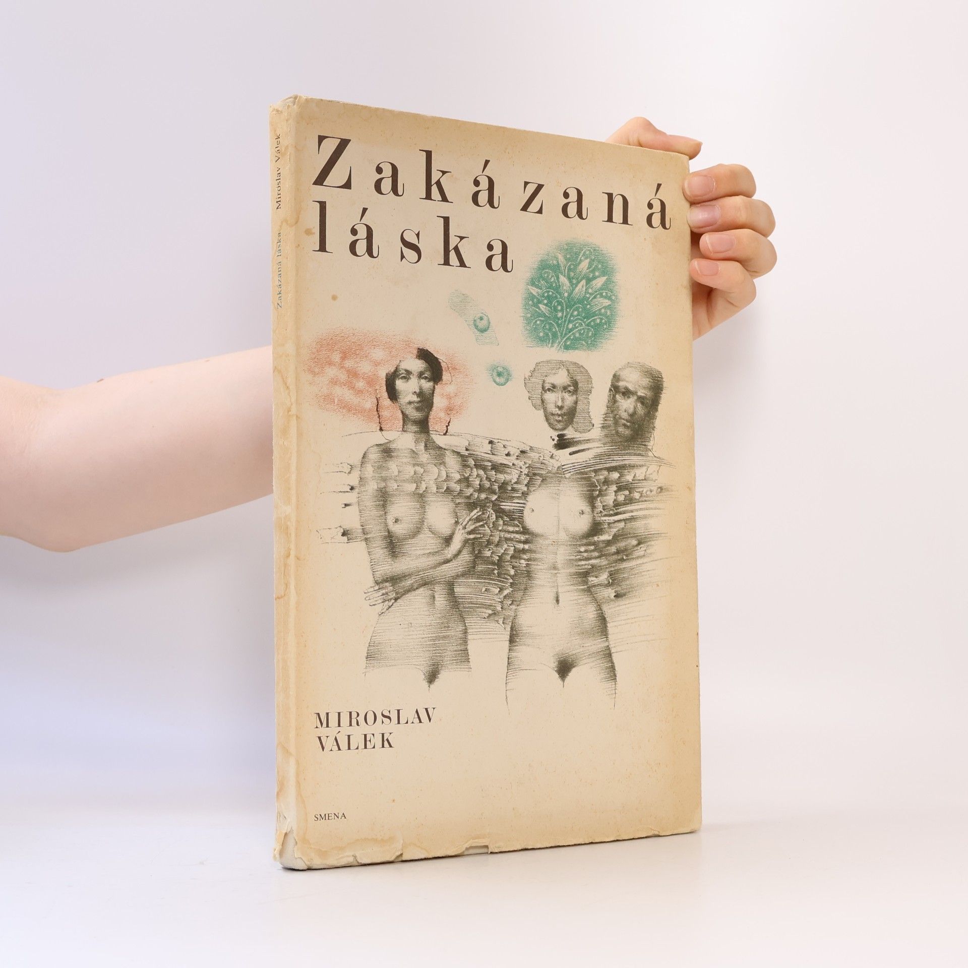 Miroslav Válek Zakázaná láska