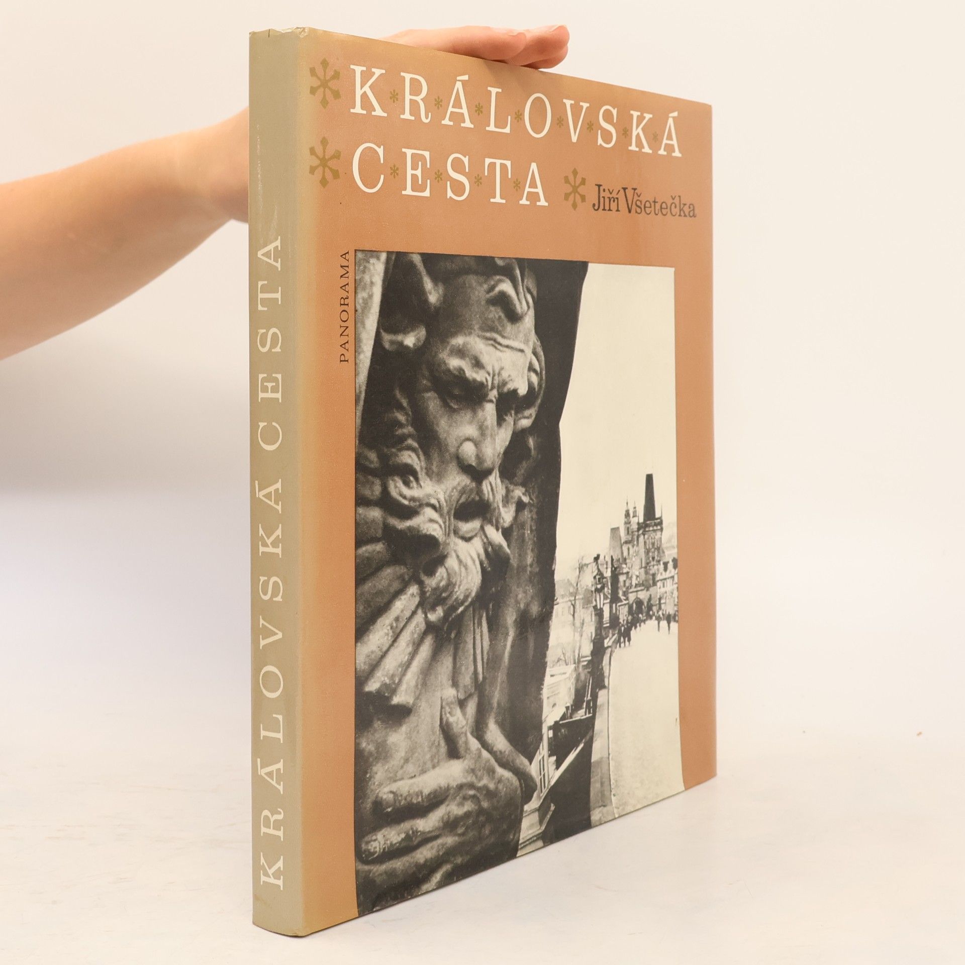 Jiří Všetečka Královská cesta