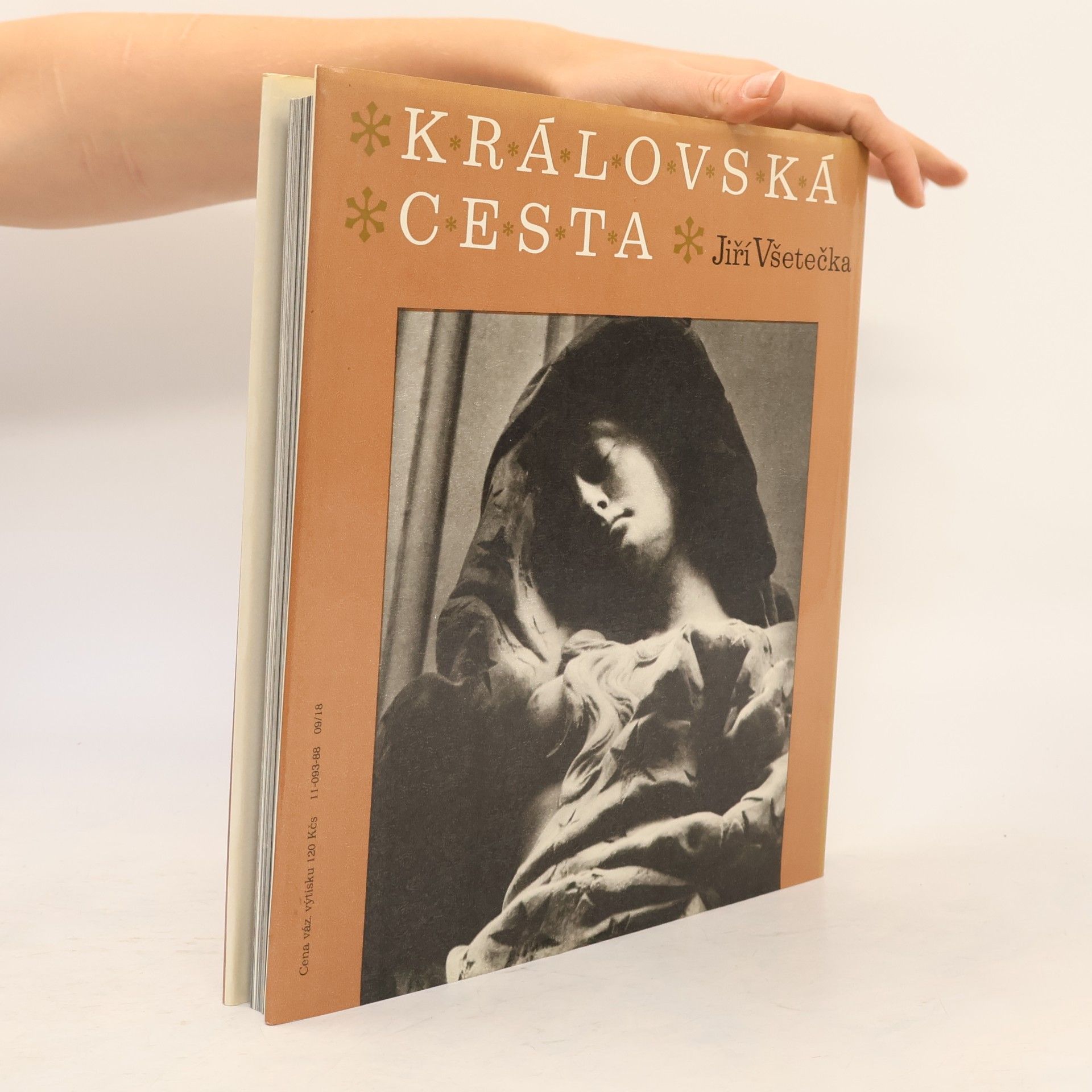 Jiří Všetečka Královská cesta