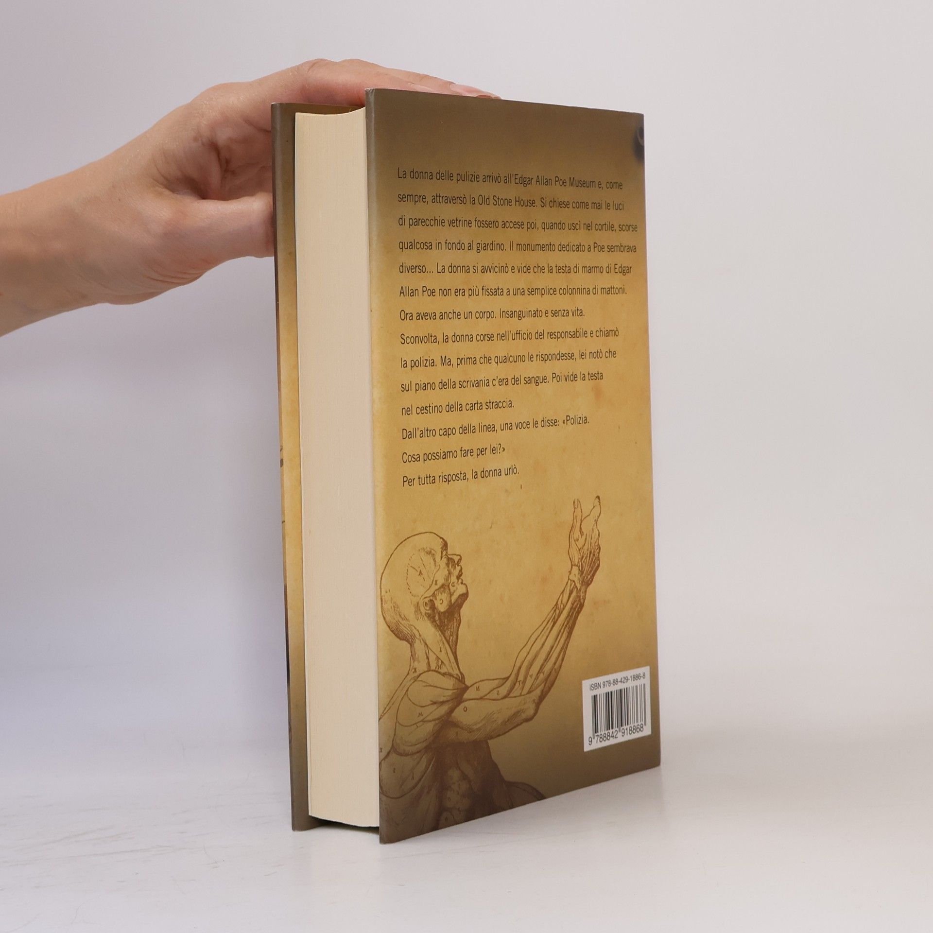 Jørgen Brekke La biblioteca dell'anatomista