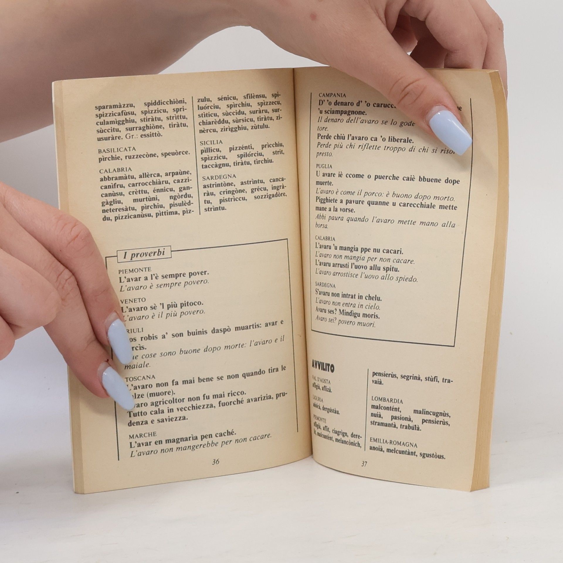 Autorenkollektiv Dizionario dei dialetti d'Italia A-C