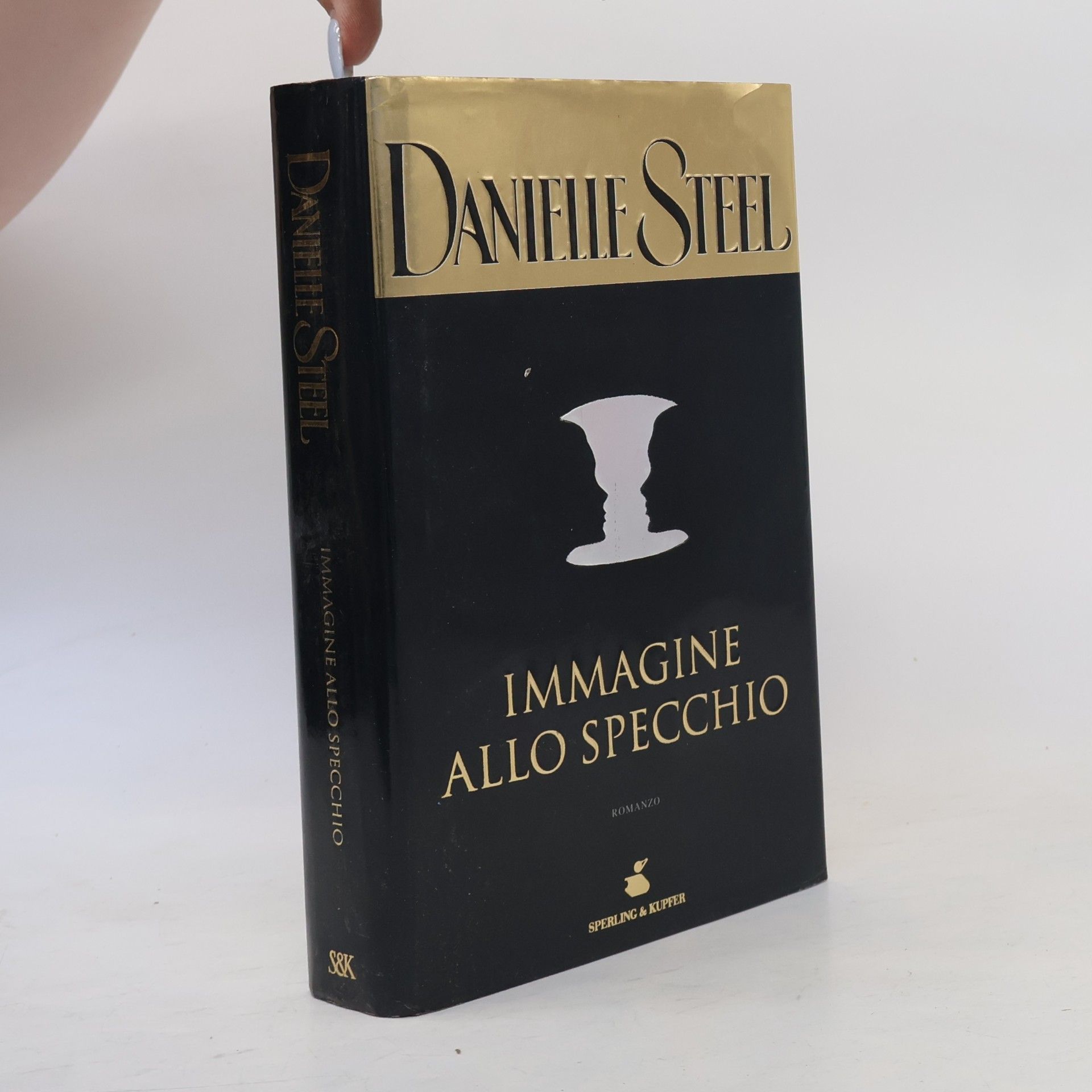 Danielle Steel Pandora: Immagine allo specchio