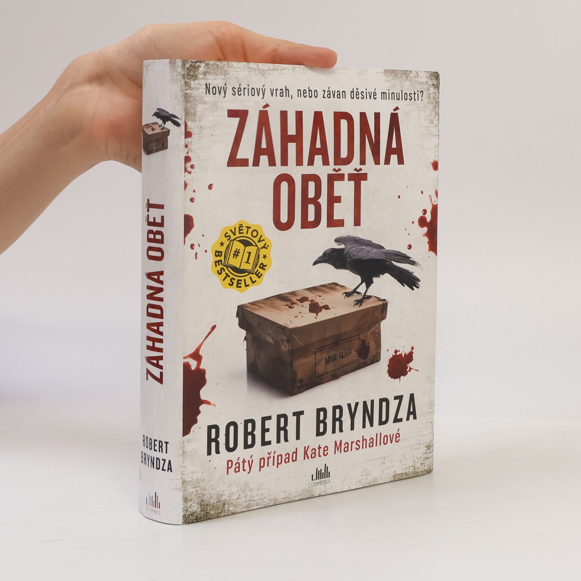 Robert Bryndza Záhadná oběť