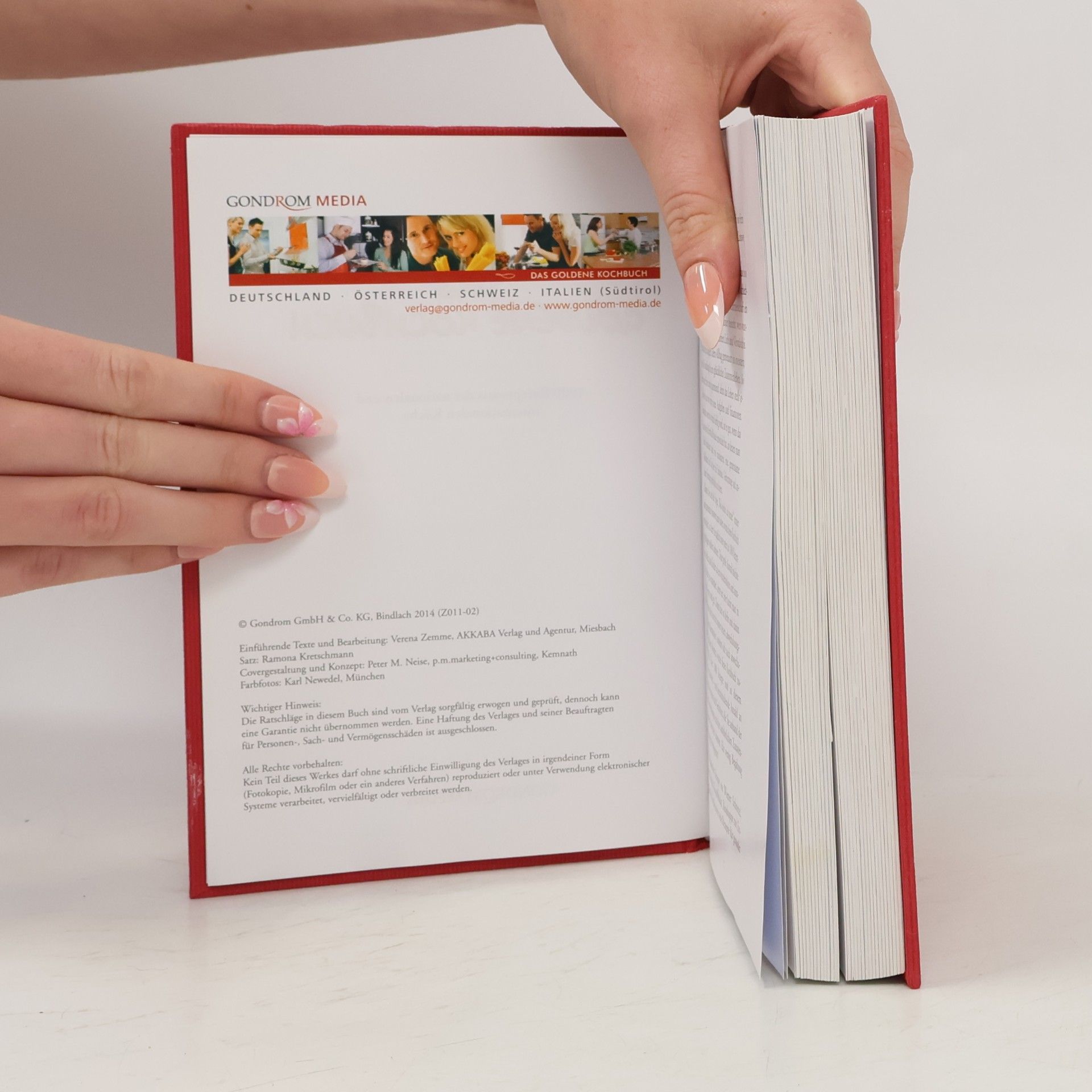Autorenkollektiv Das goldene Kochbuch