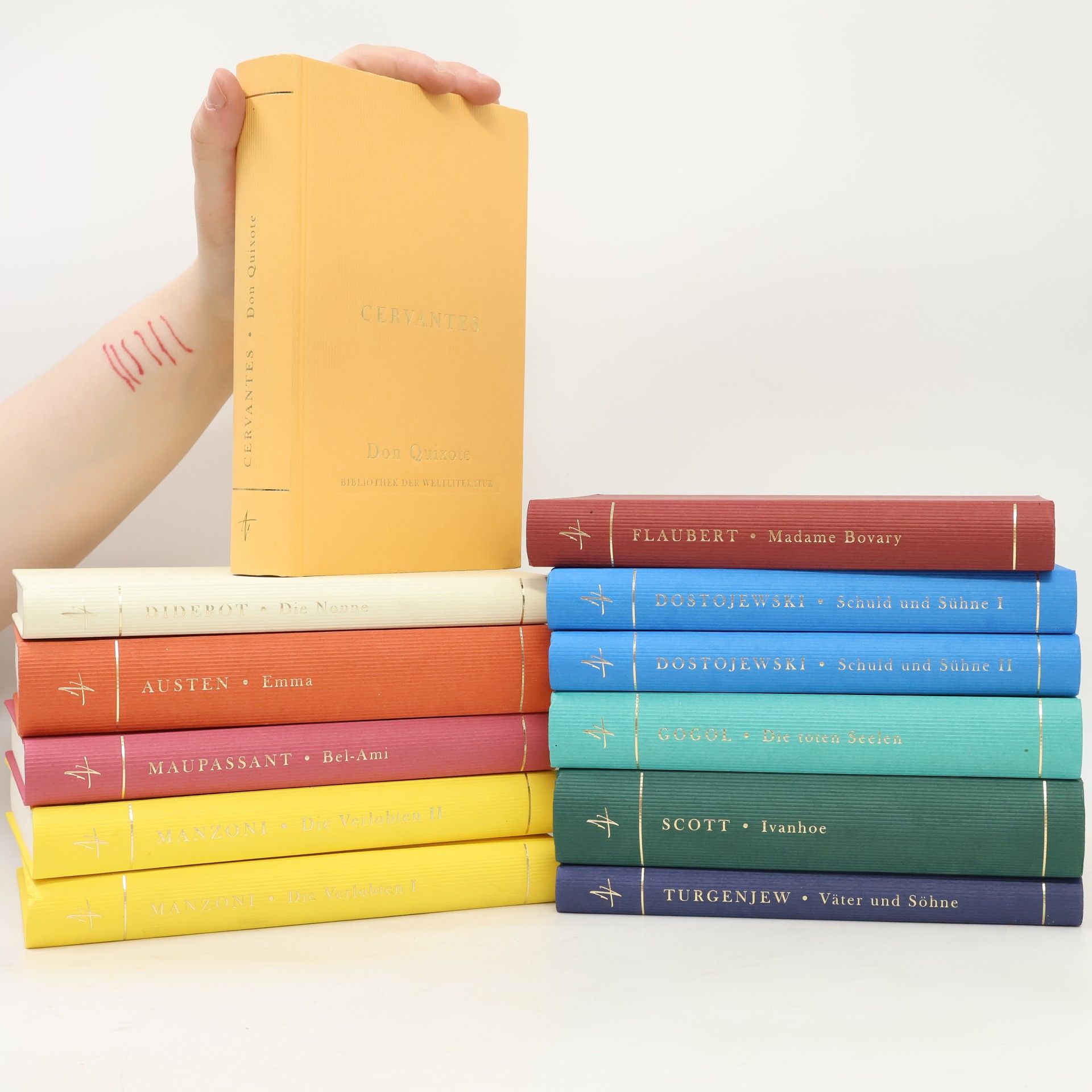 Miguel de Cervantes Bibliothek der Weltliteratur