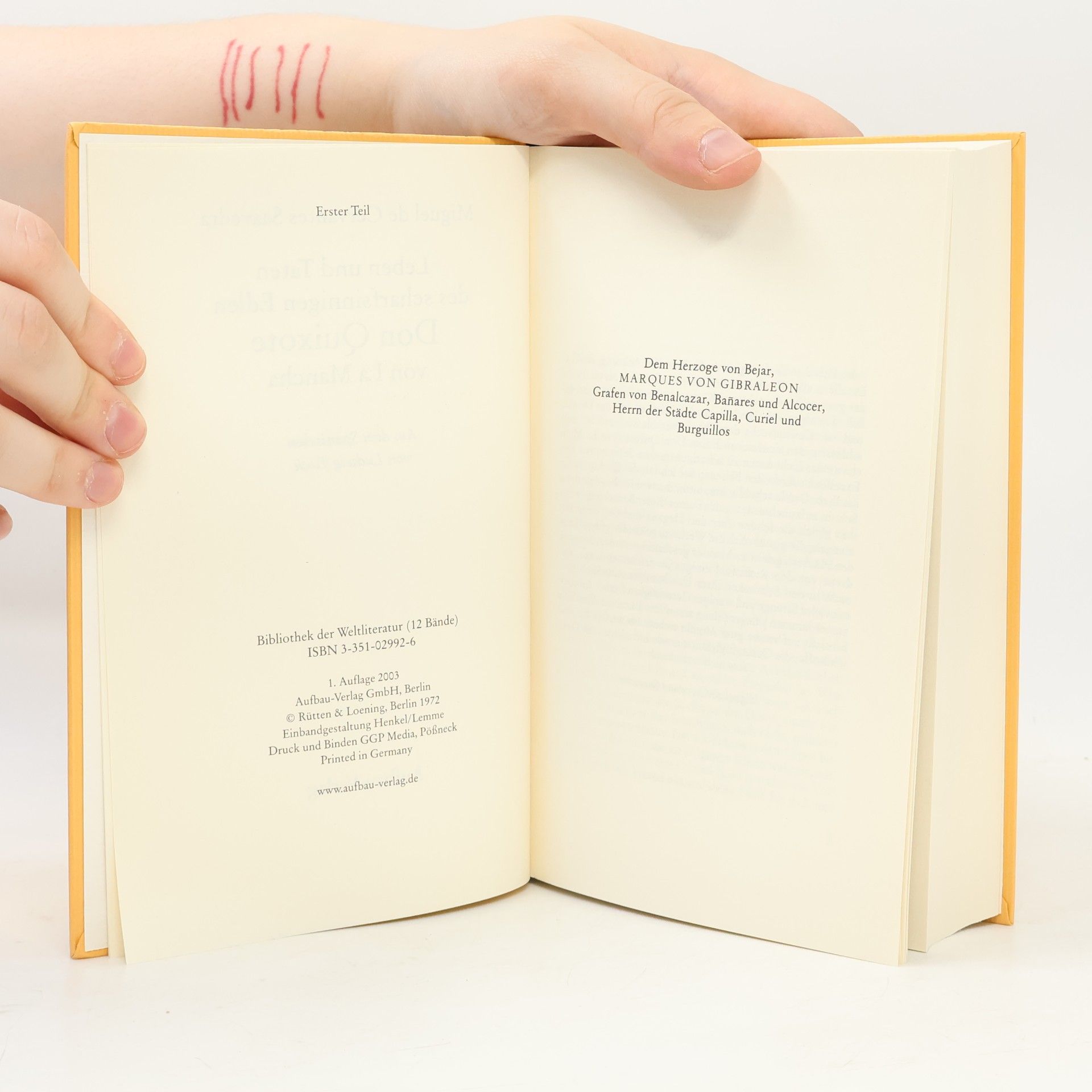 Miguel de Cervantes Bibliothek der Weltliteratur