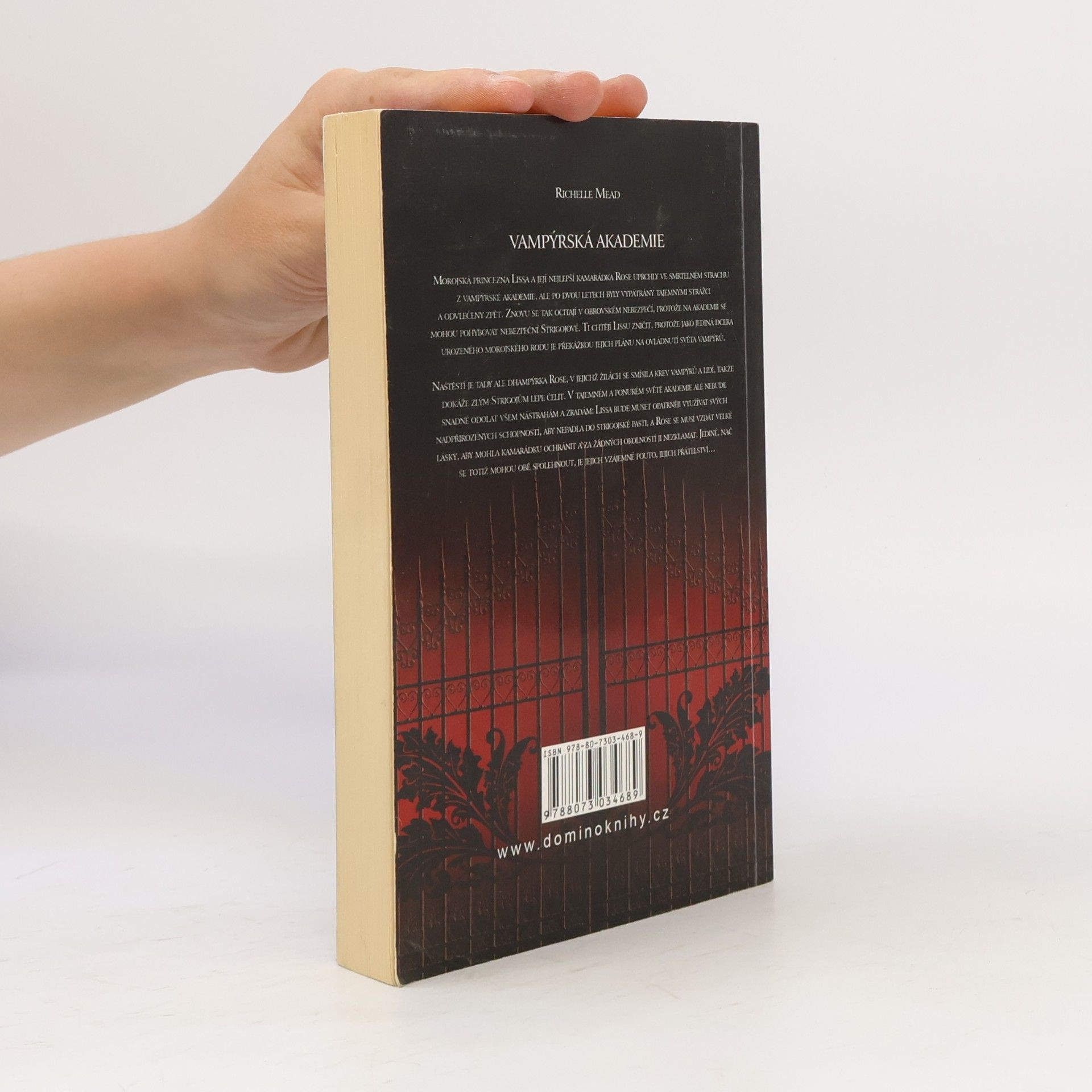 Richelle Mead Vampýrská akademie