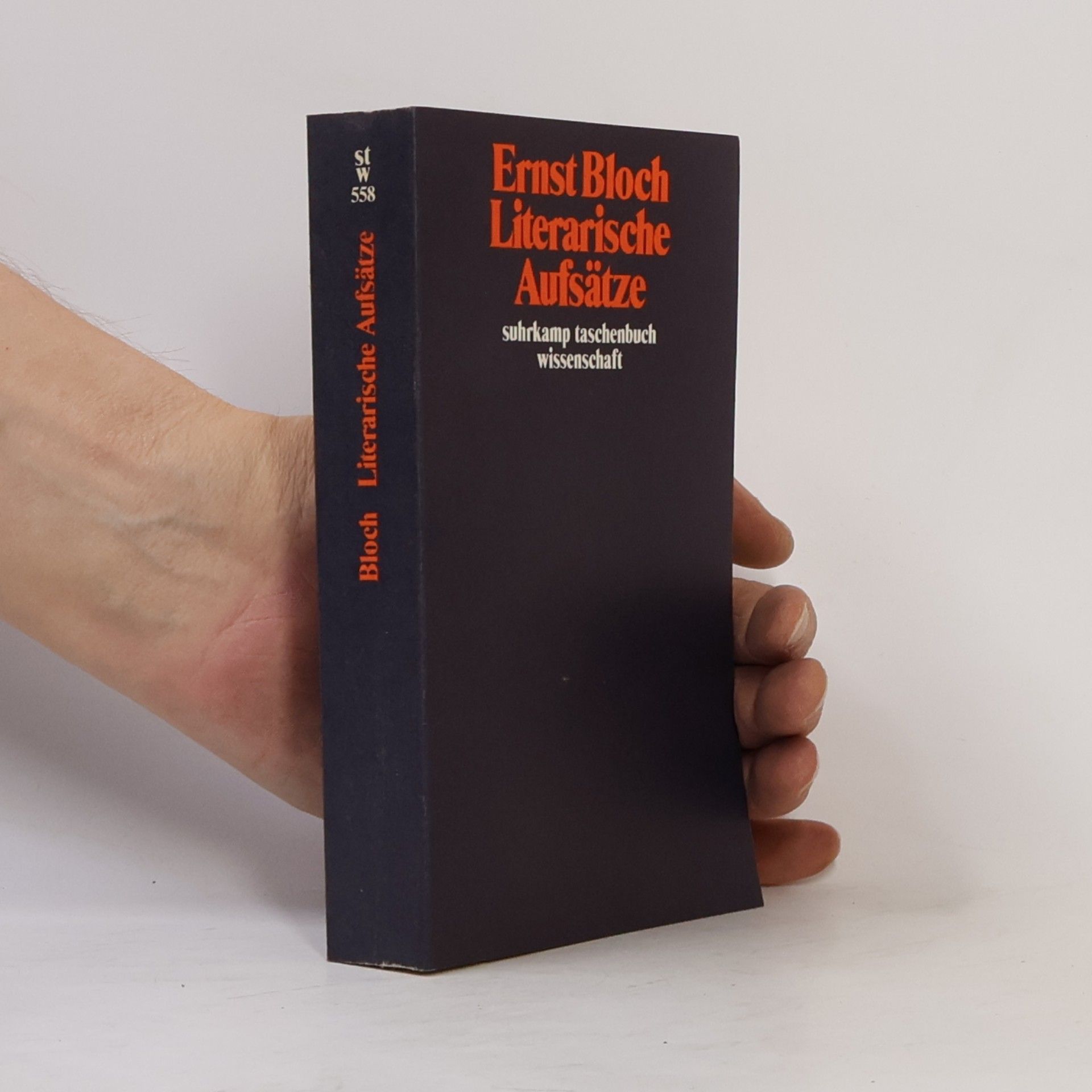 Literarische Aufsätze