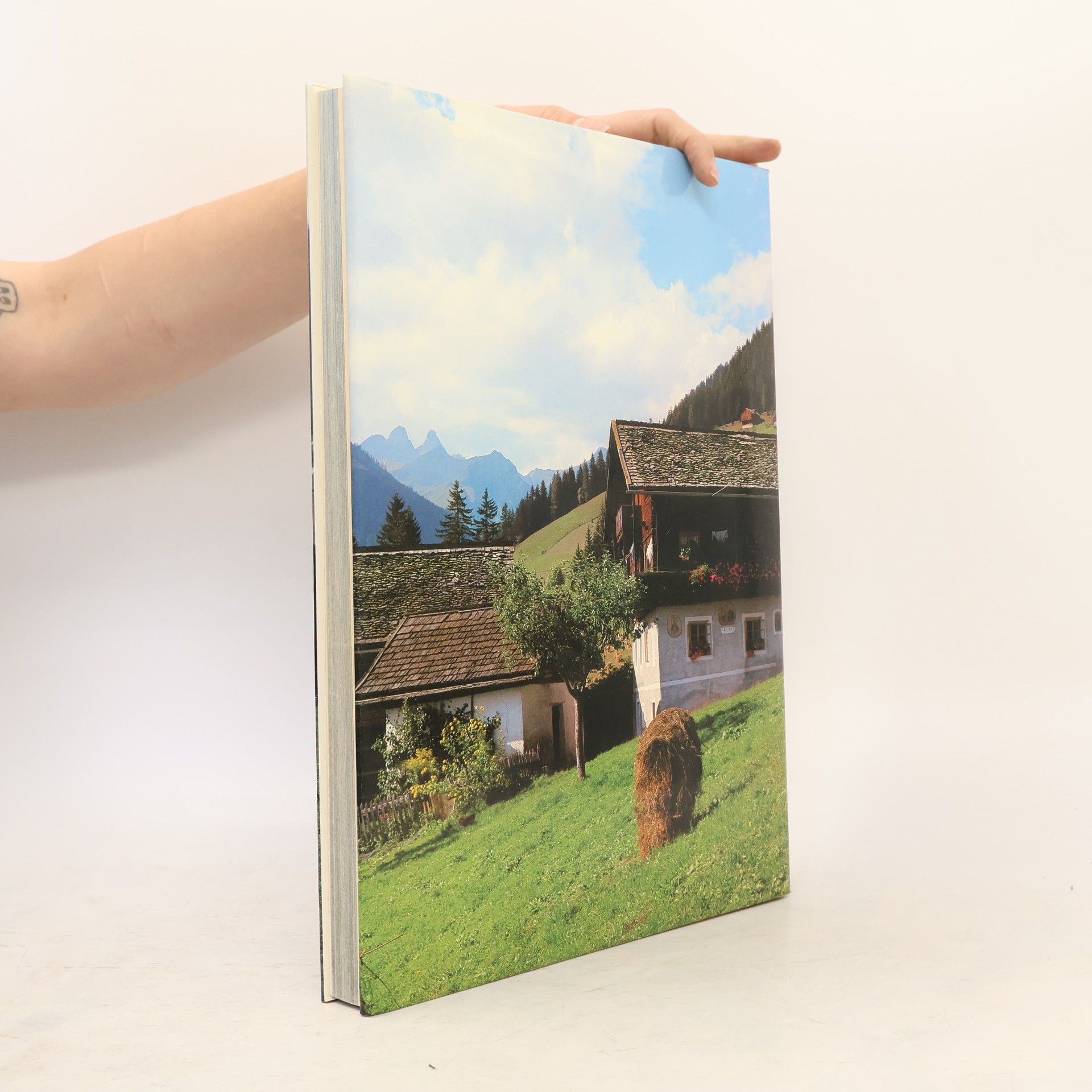 Robert Löbl Die Alpen in Farben