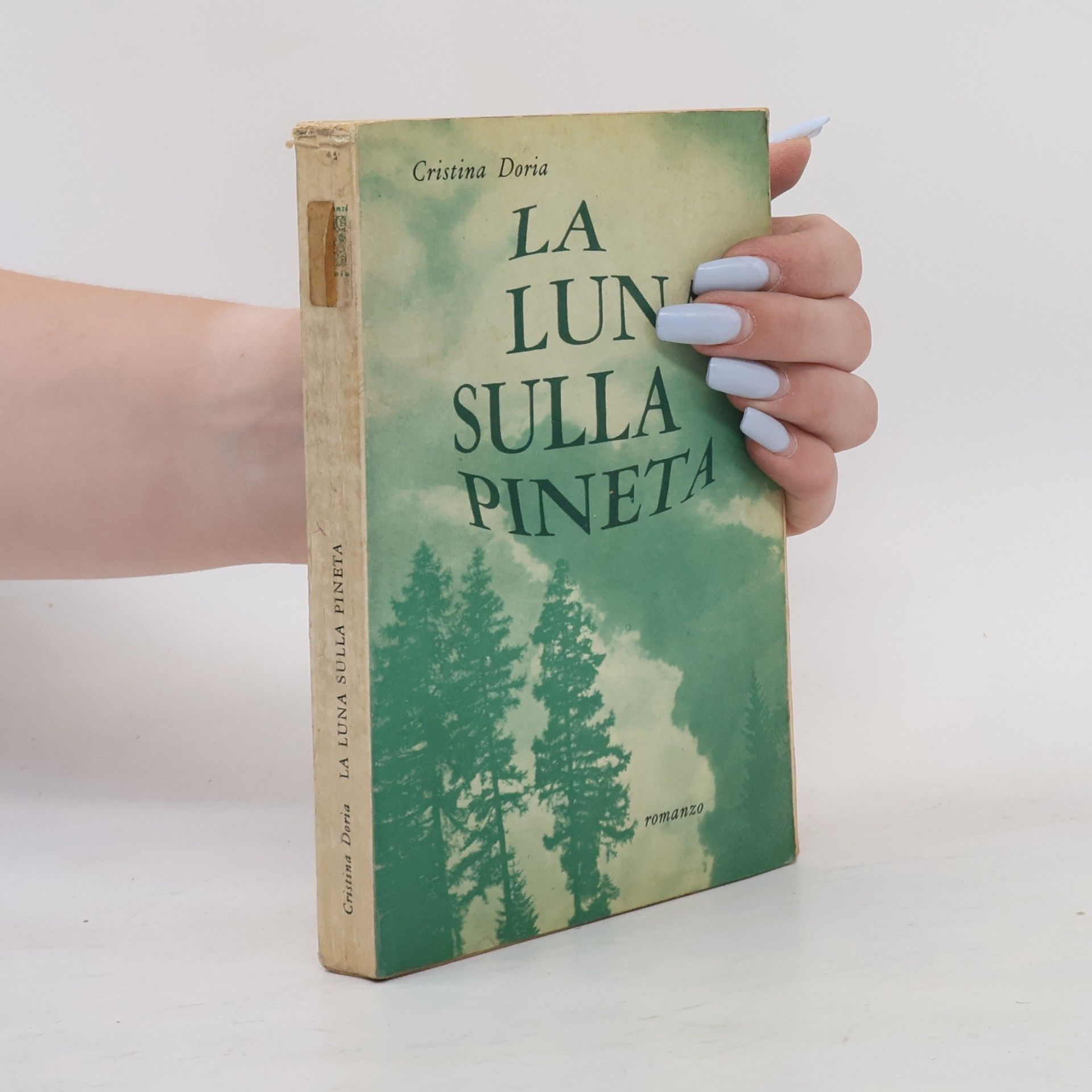 Cristina Doria La luna sulla pineta