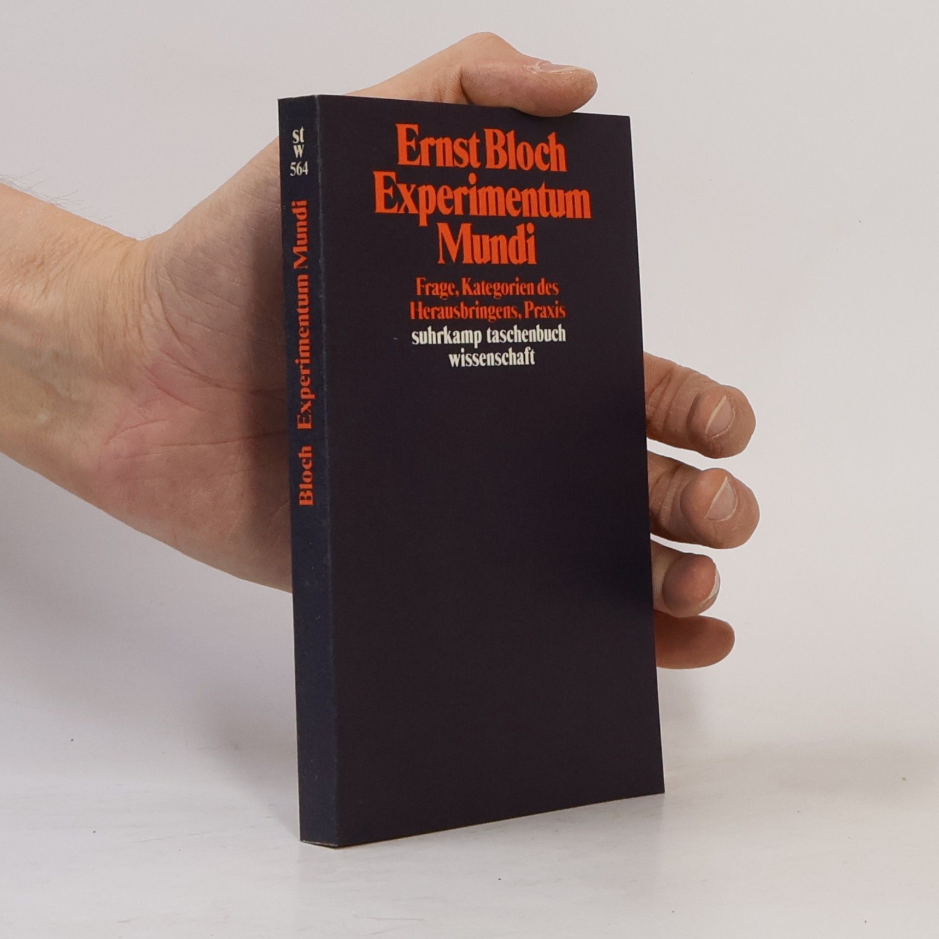 Experimentum Mundi. Frage, Kategorien des Herausbringens, Praxis