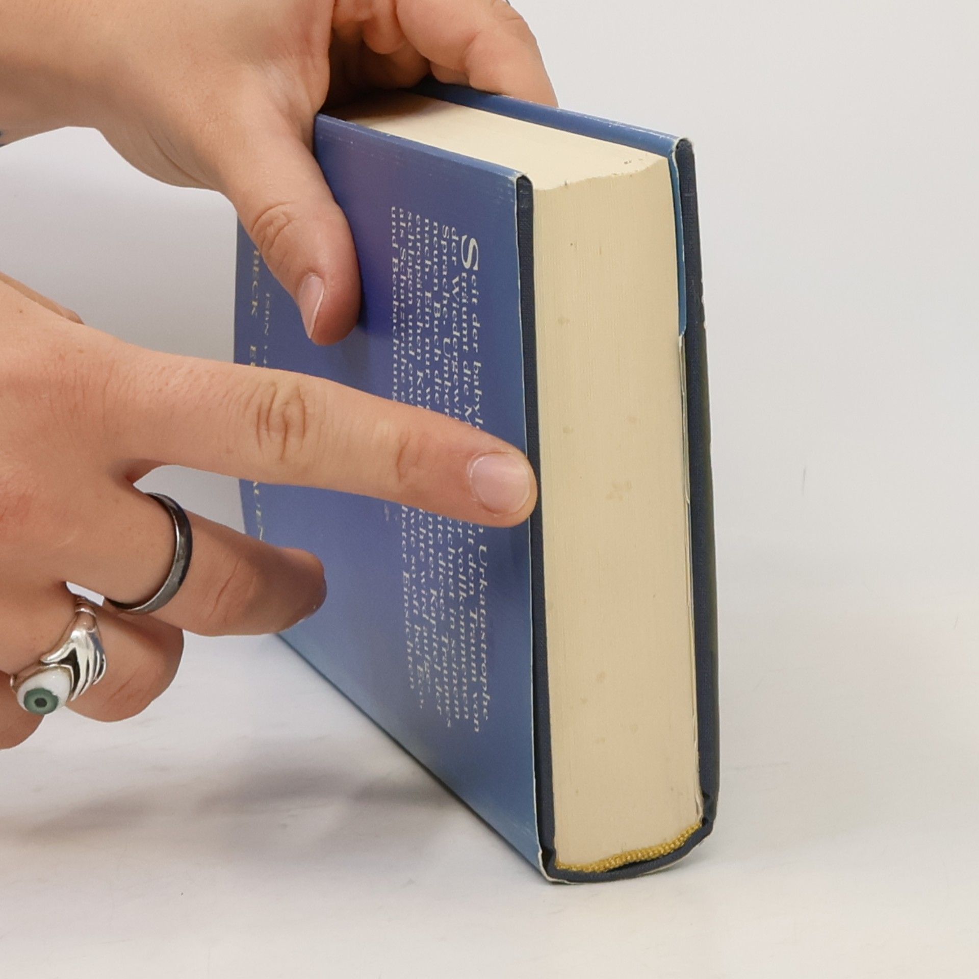 Umberto Eco Die Suche nach der vollkommenen Sprache