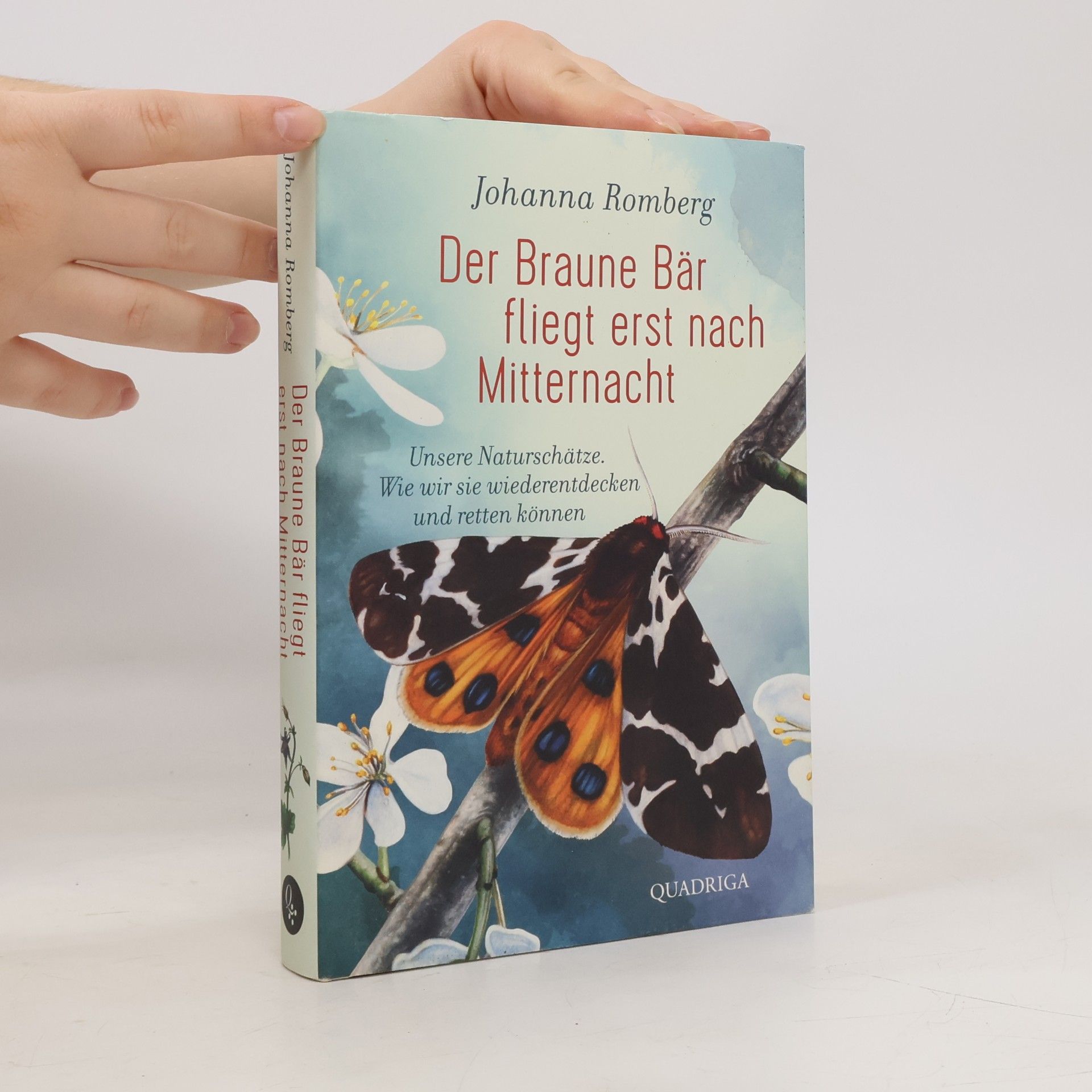 Johanna Romberg Der Braune Bär fliegt erst nach Mitternacht