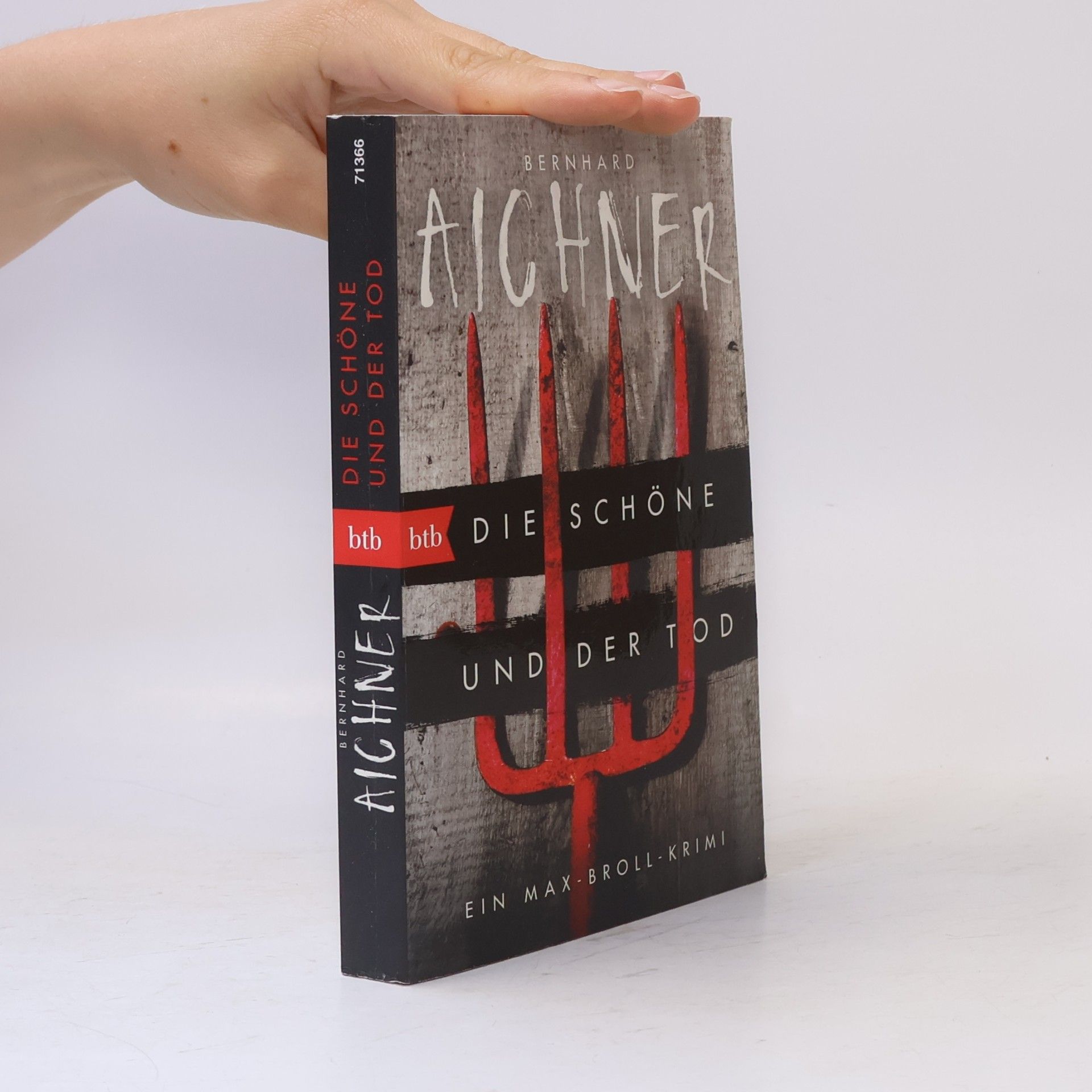 Bernhard Aichner Die Schöne und der Tod