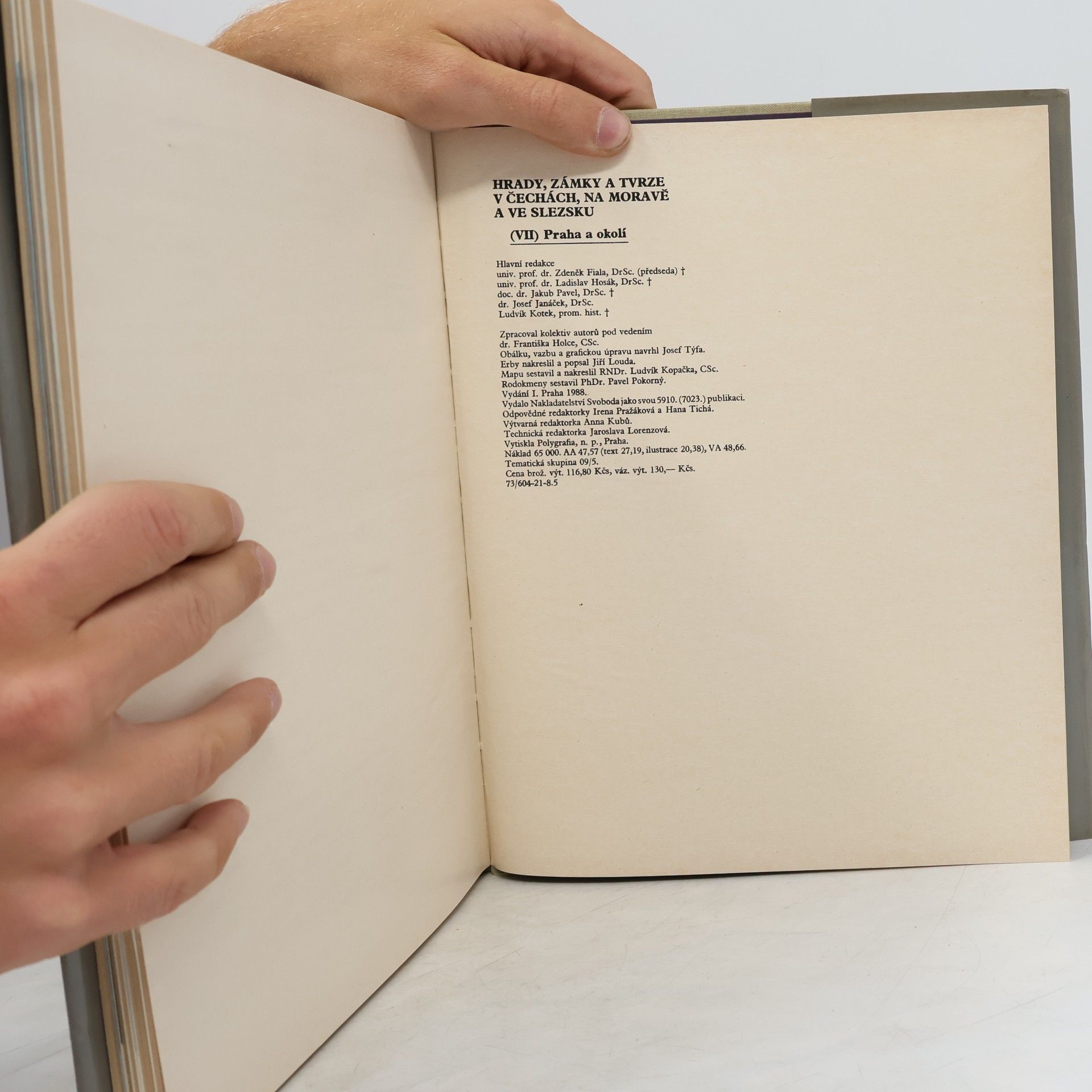Various authors Hrady, zámky a tvrze v Čechách, na Moravě a ve Slezsku VII. Praha a okolí
