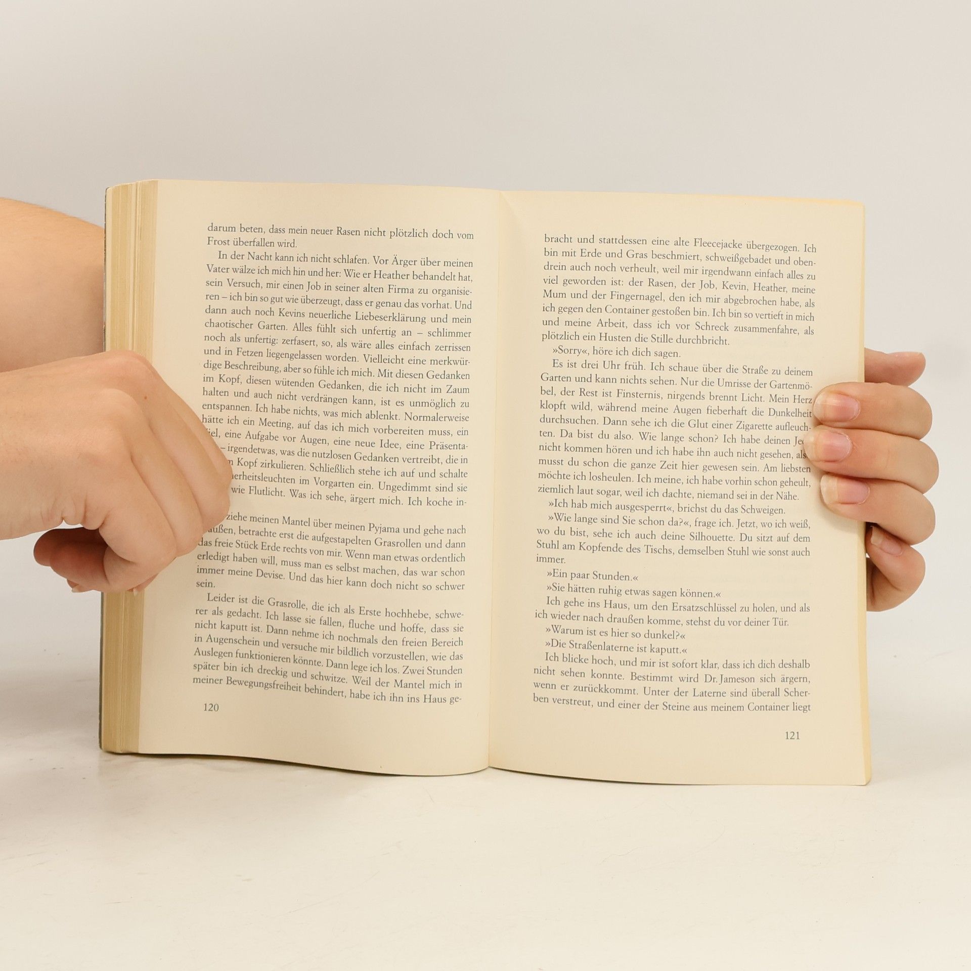 Cecelia Ahern Das Jahr, in dem ich dich traf