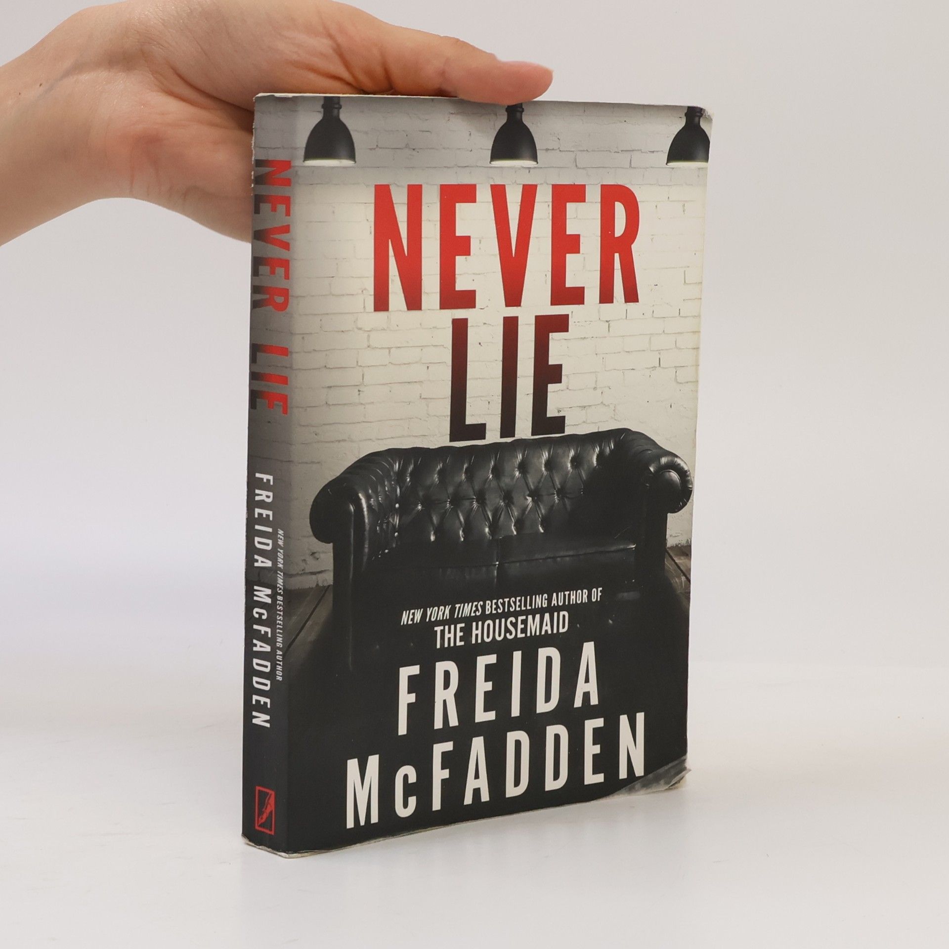 Freida McFadden Never Lie