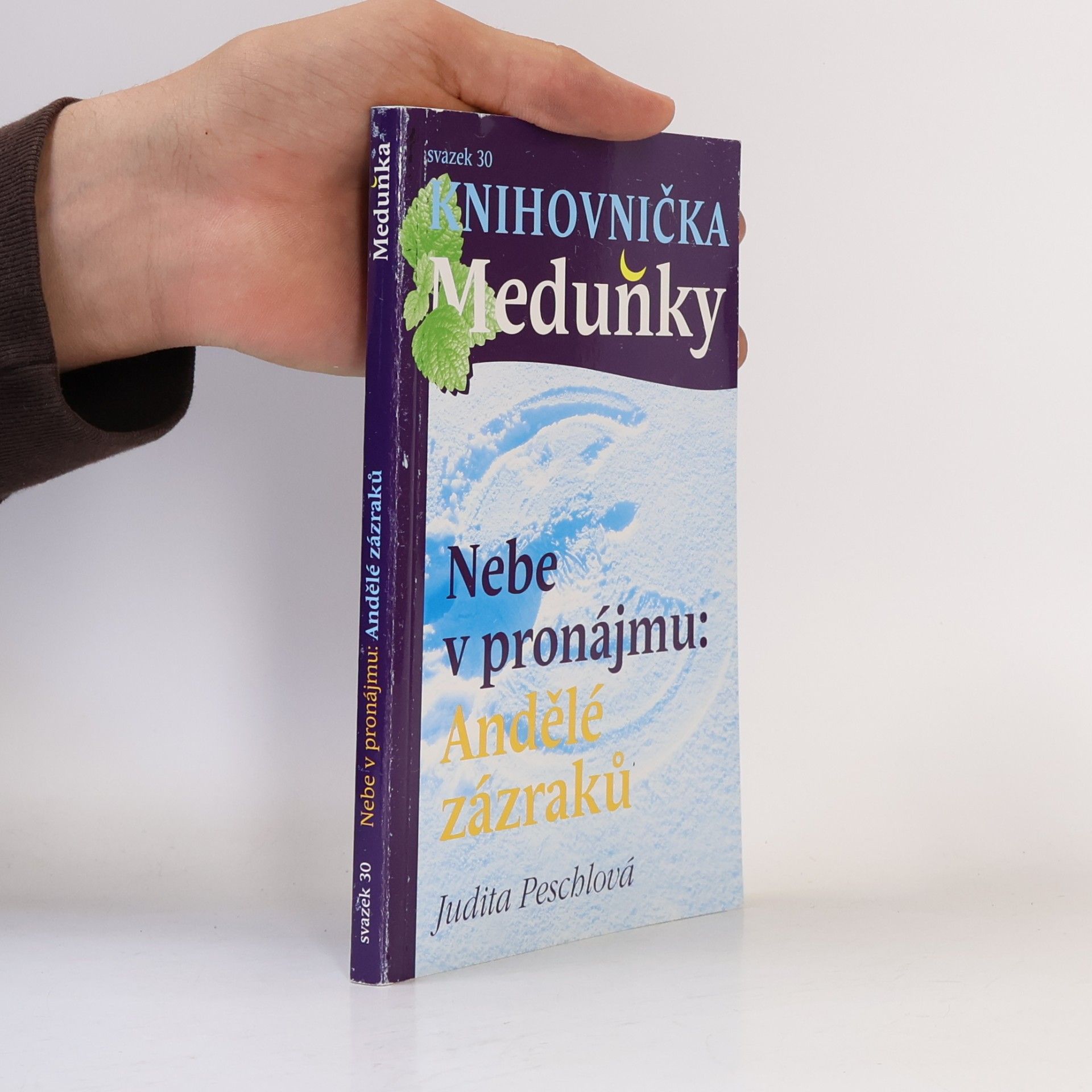 Judita Peschlová Nebe v pronájmu. Andělé zázraků