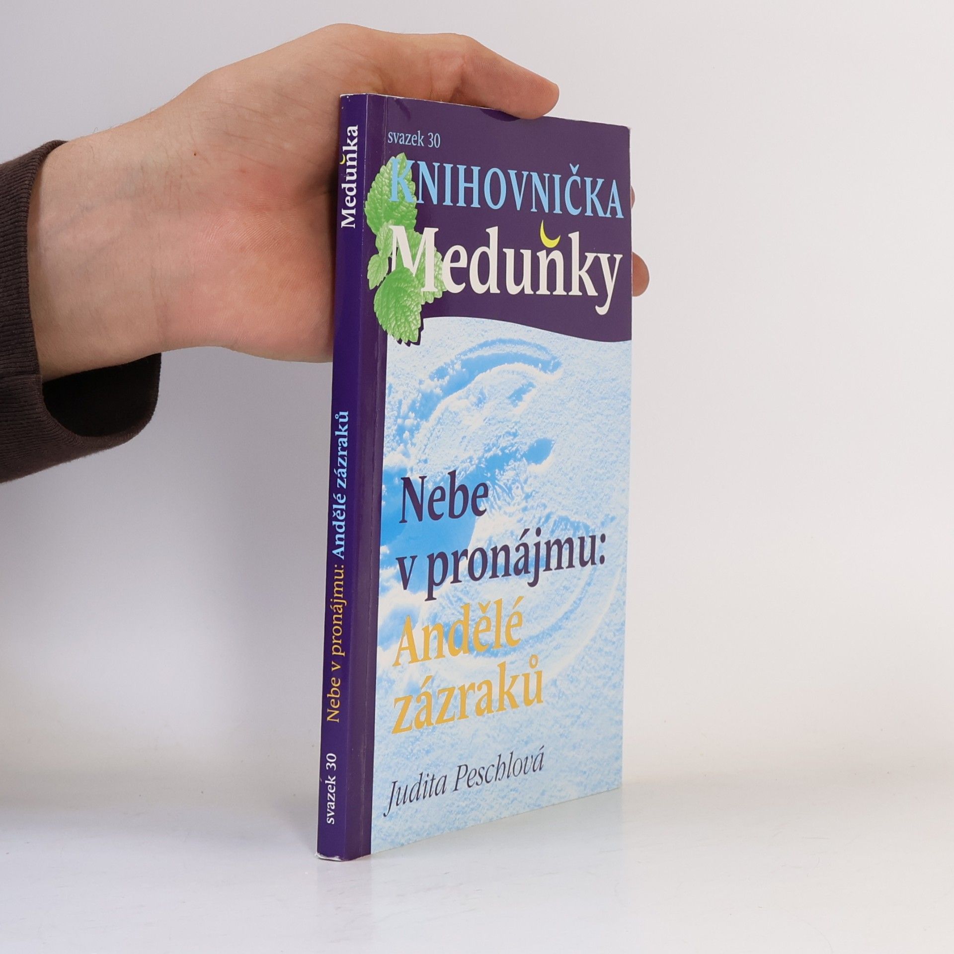 Nebe v pronájmu. Andělé zázraků
