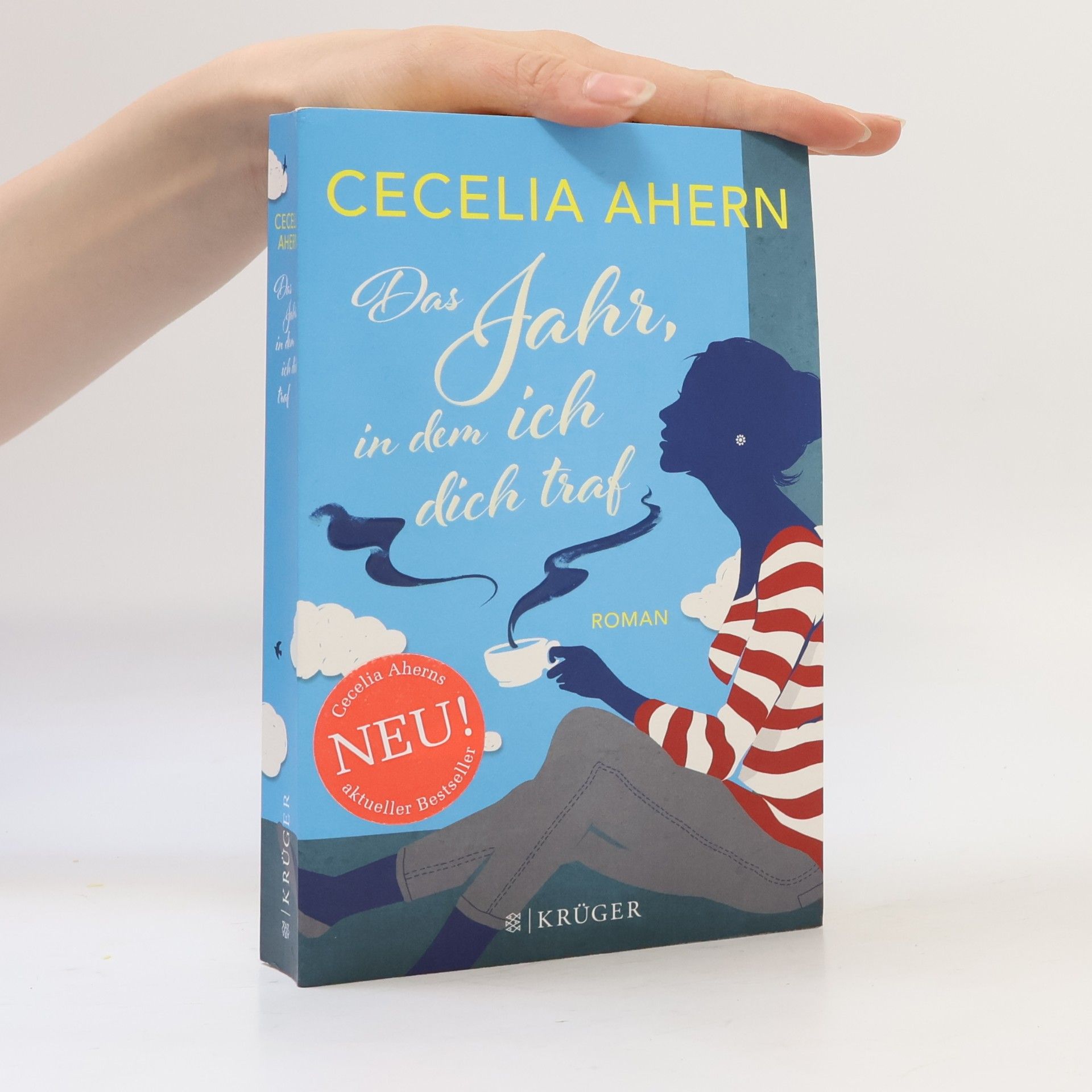 Cecelia Ahern Das Jahr, in dem ich dich traf