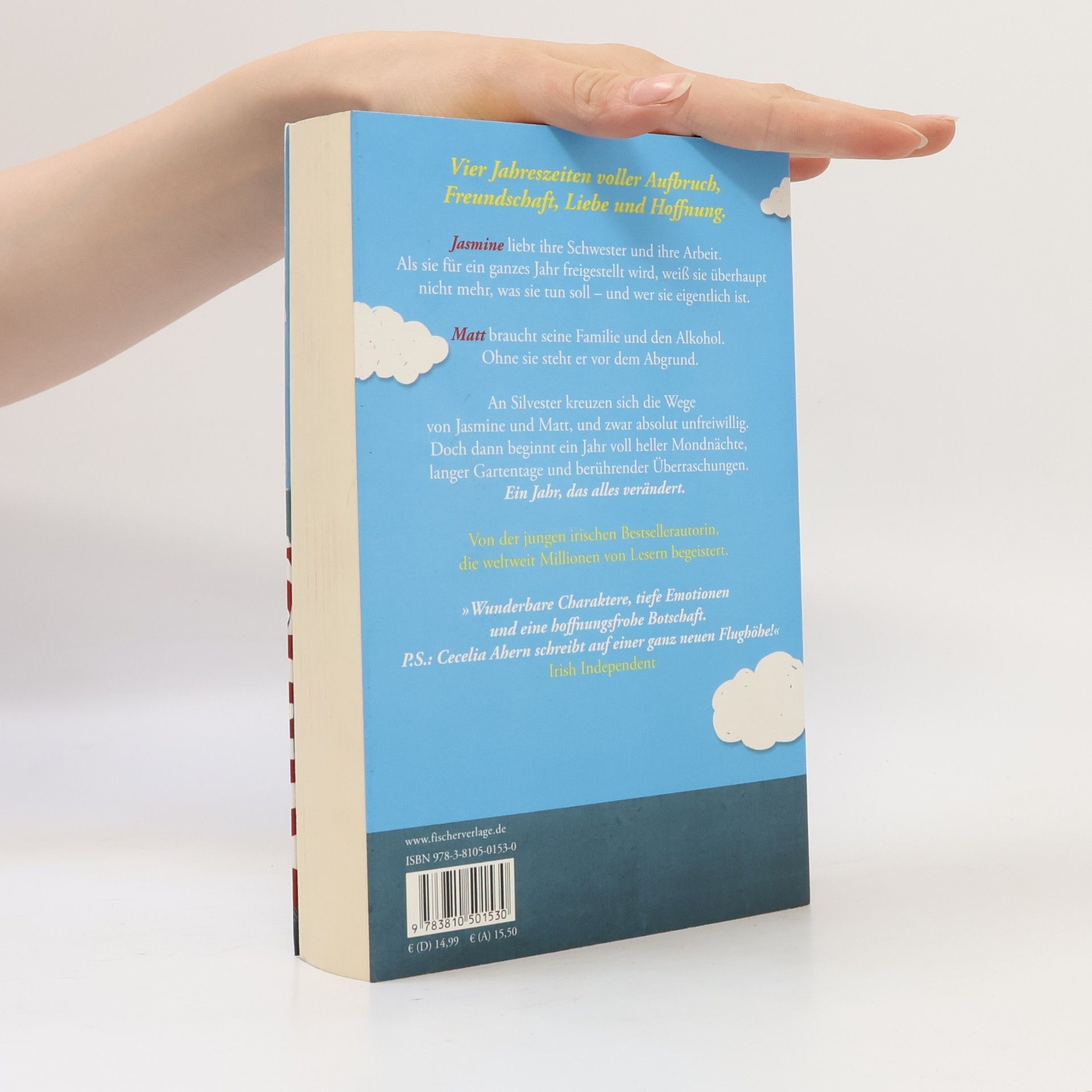Cecelia Ahern Das Jahr, in dem ich dich traf