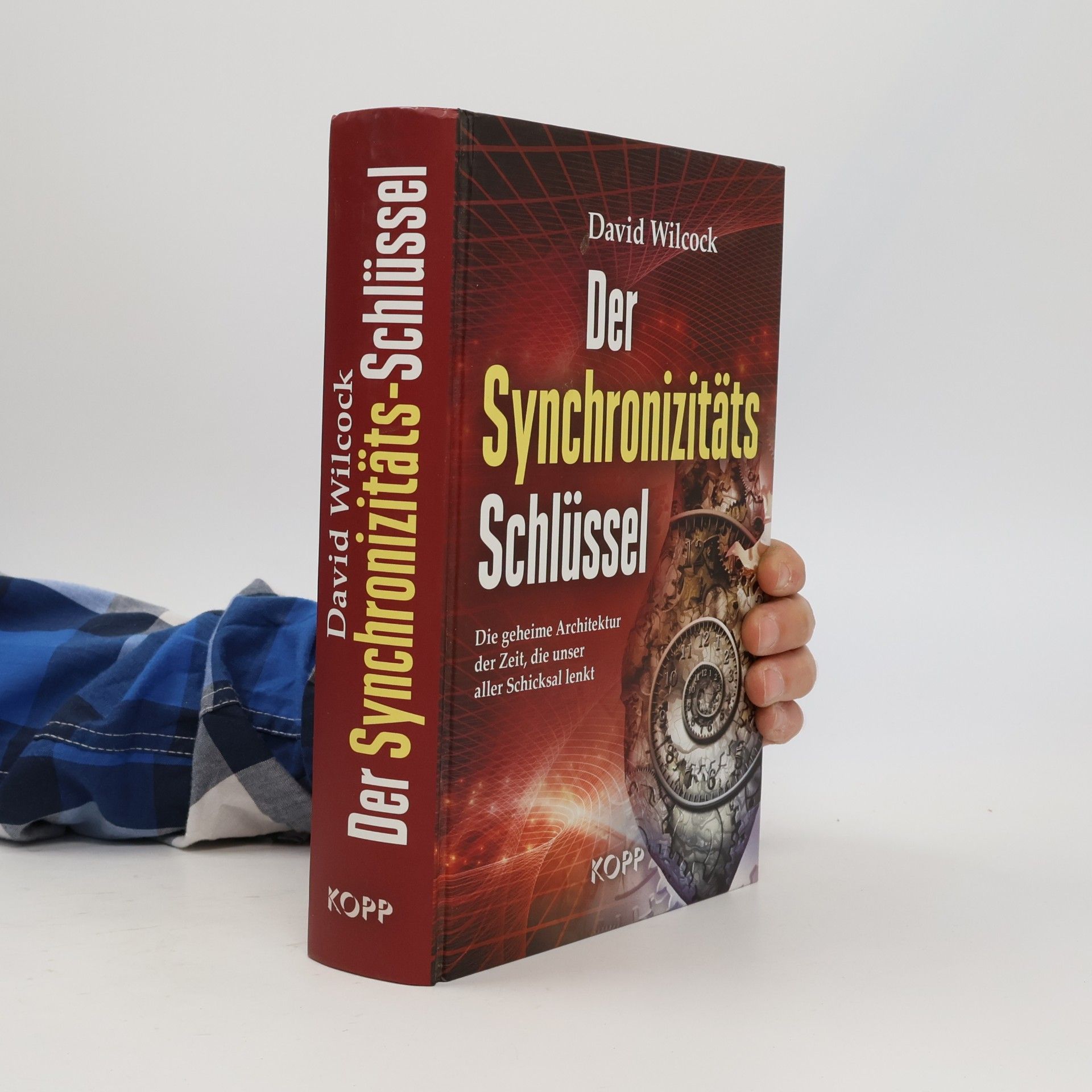 David Wilcock Der Synchronizitäts-Schlüssel