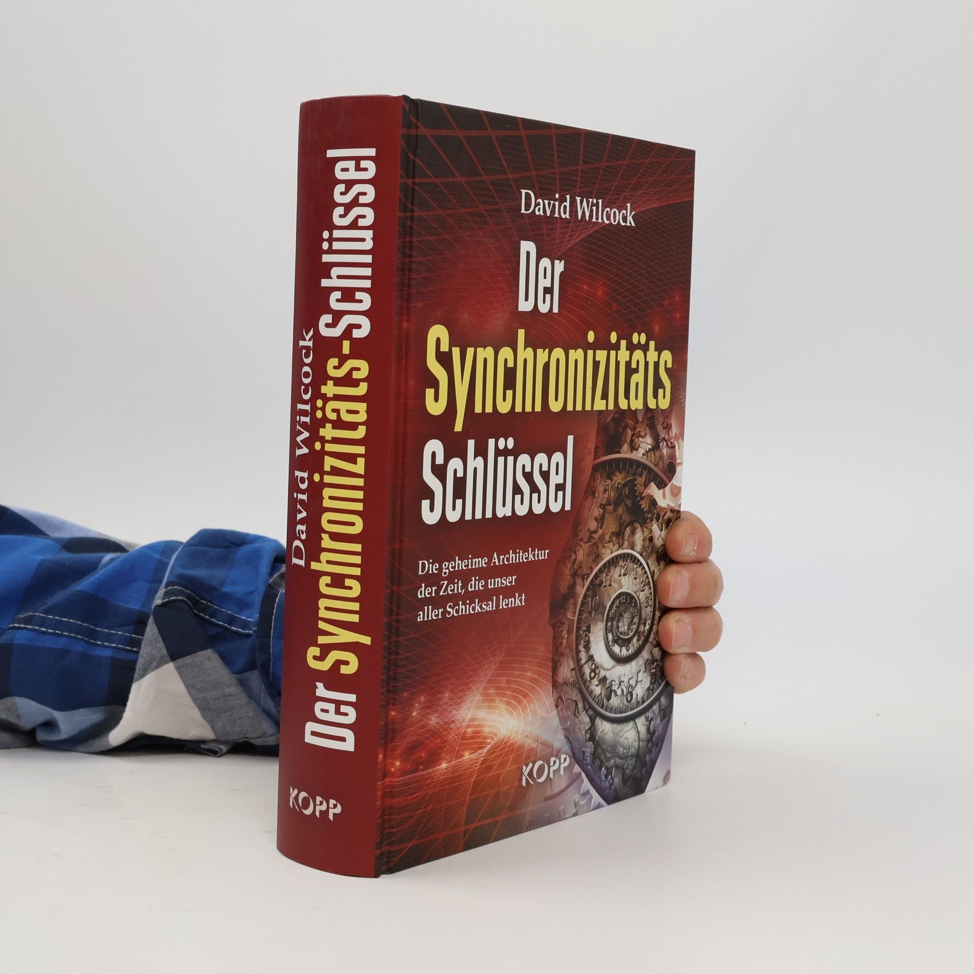 David Wilcock Der Synchronizitäts-Schlüssel