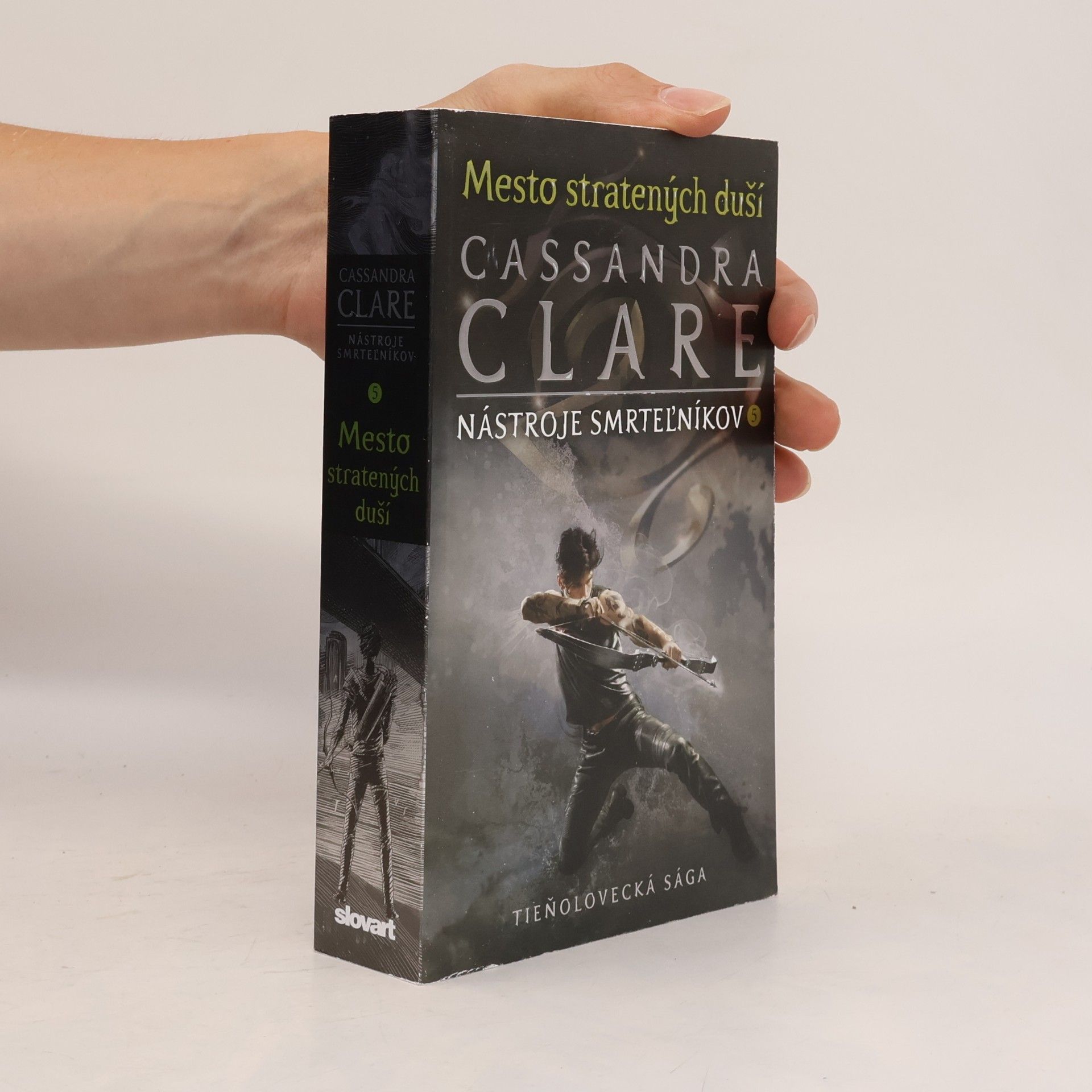 Cassandra Clare Mesto stratených duší