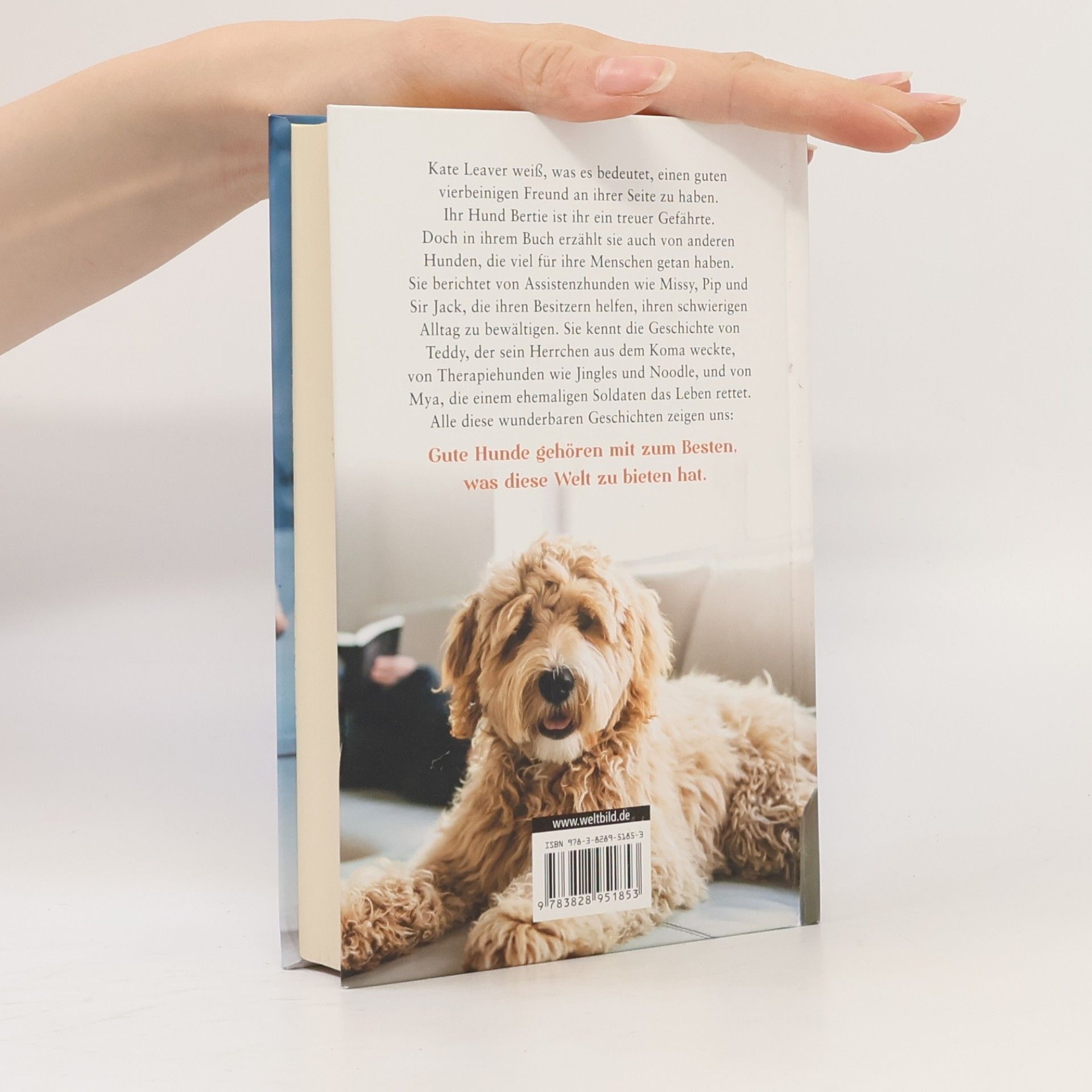 Kate Leaver Guter Hund