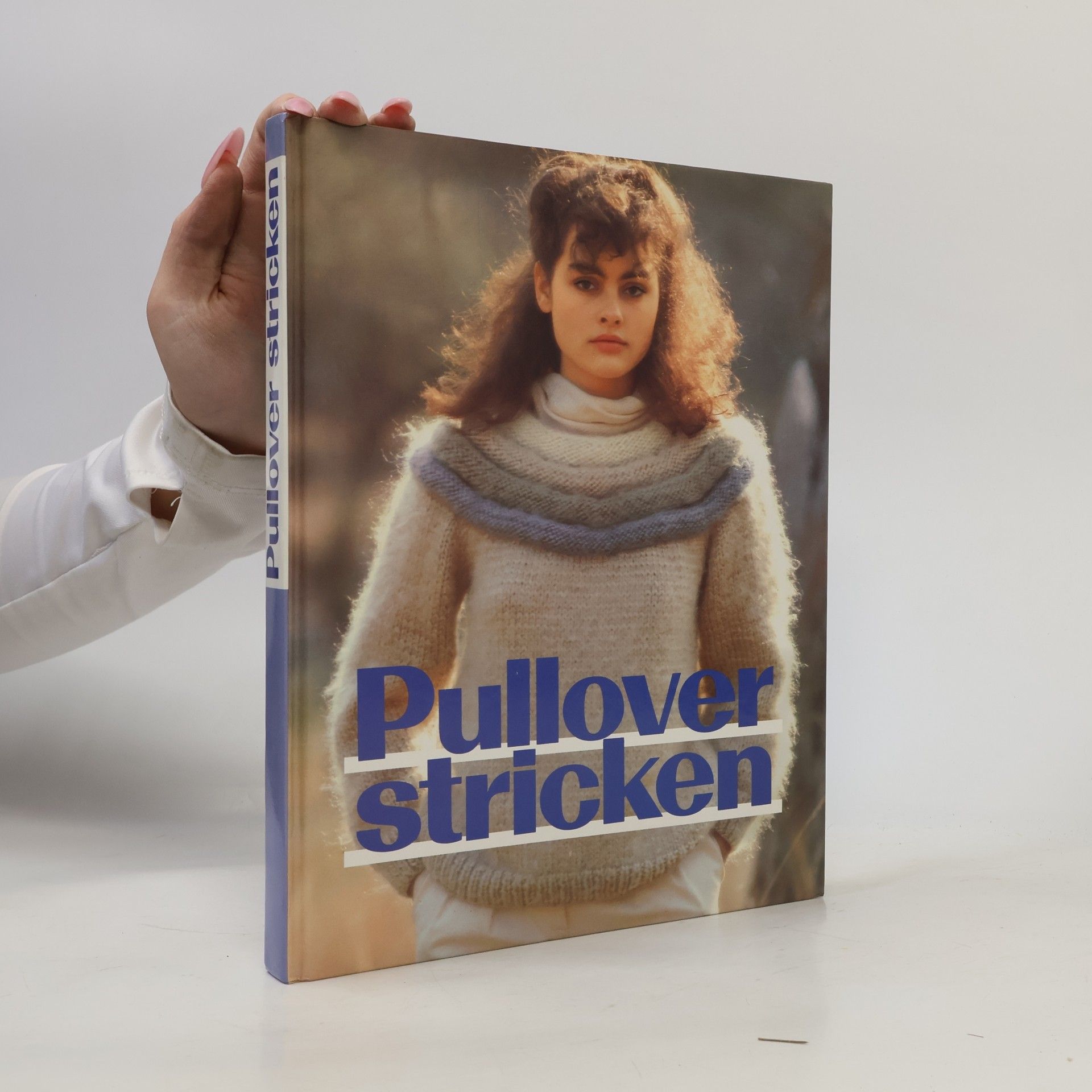 Kolektiv autorů Pullover stricken
