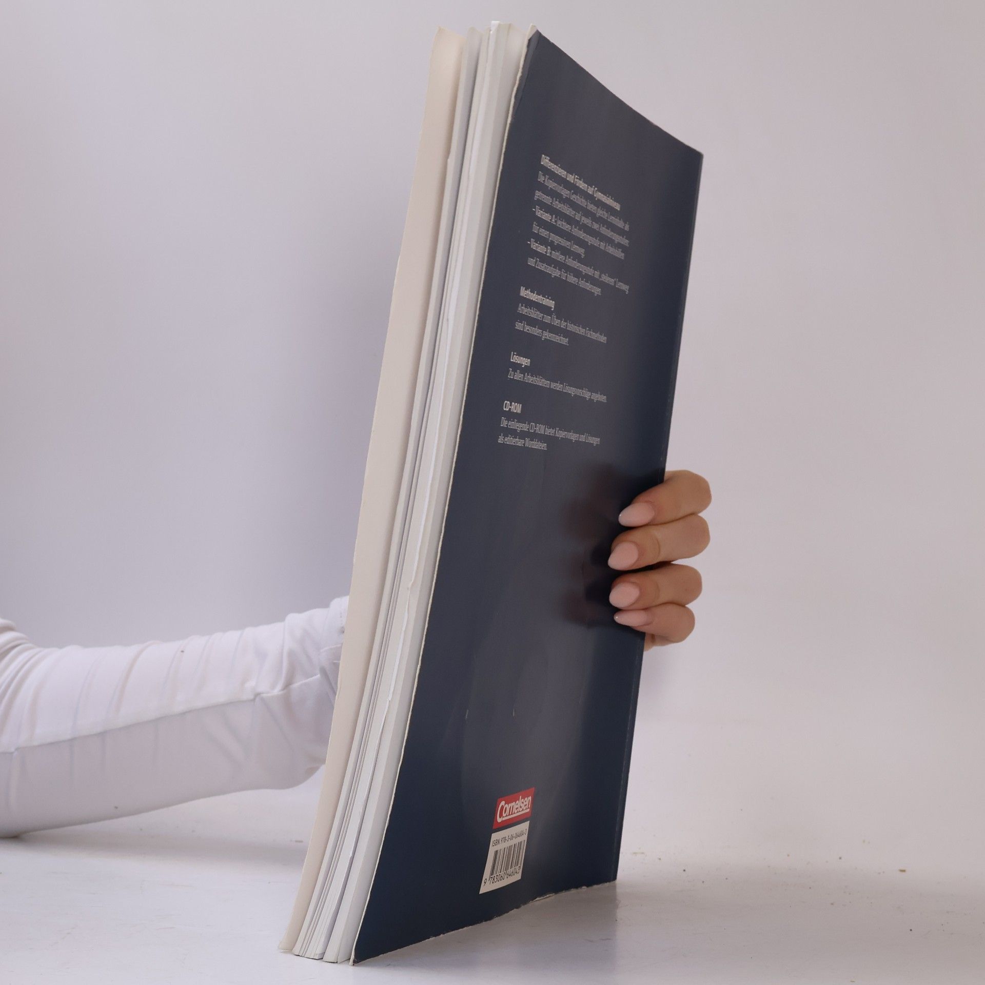 Various authors Differenzierende Kopiervorlagen Geschichte