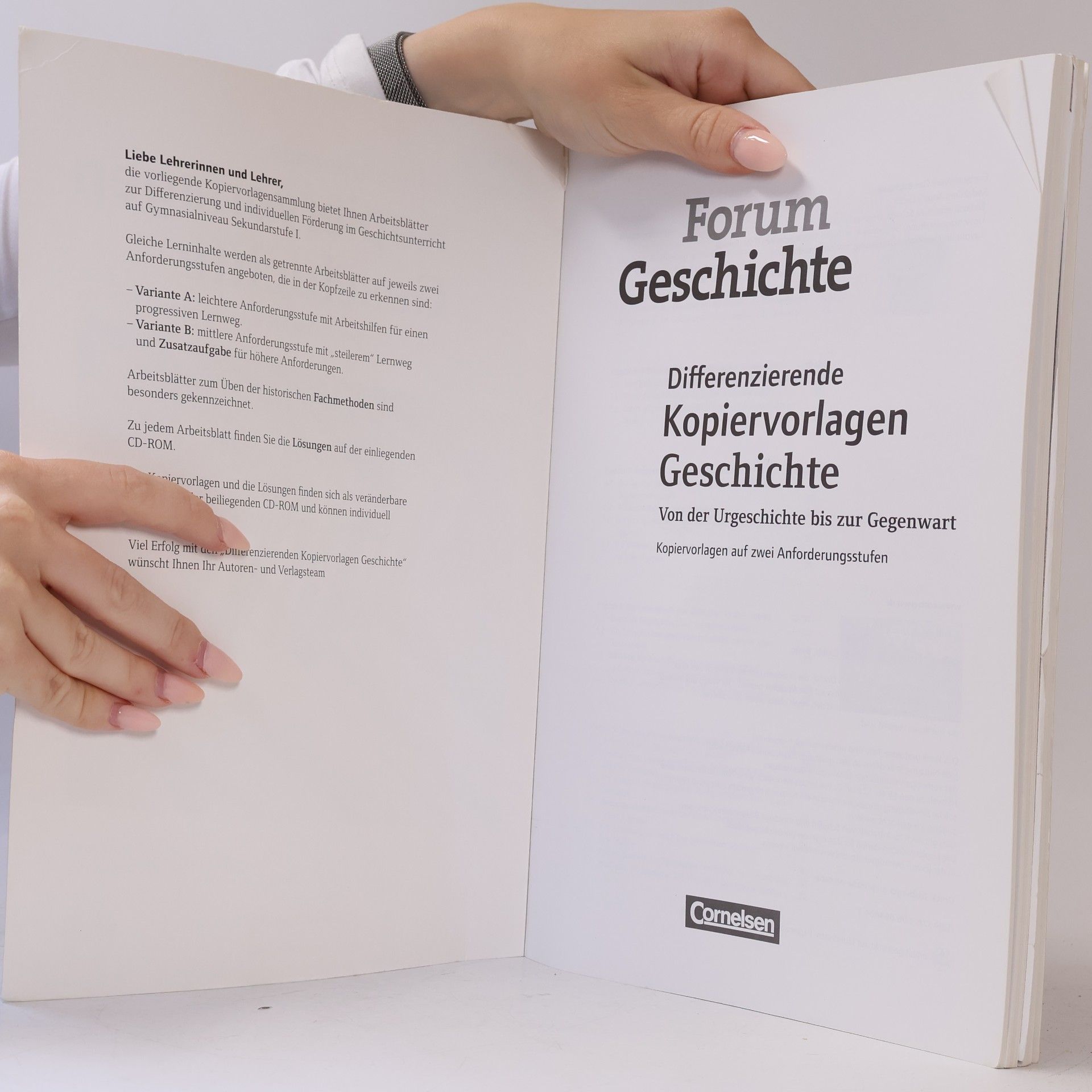 Various authors Differenzierende Kopiervorlagen Geschichte