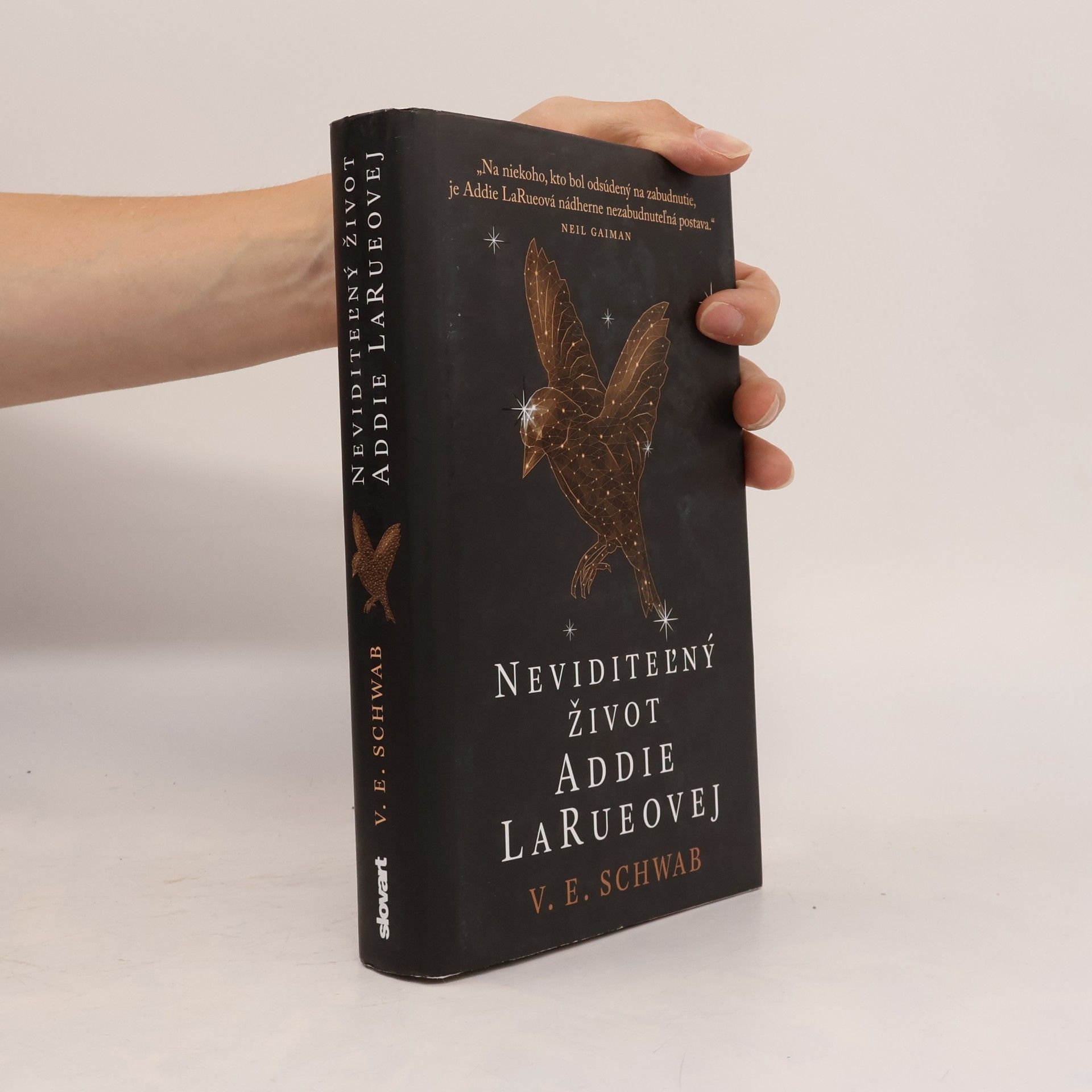V. E. Schwab Neviditeľný život Addie LaRueovej