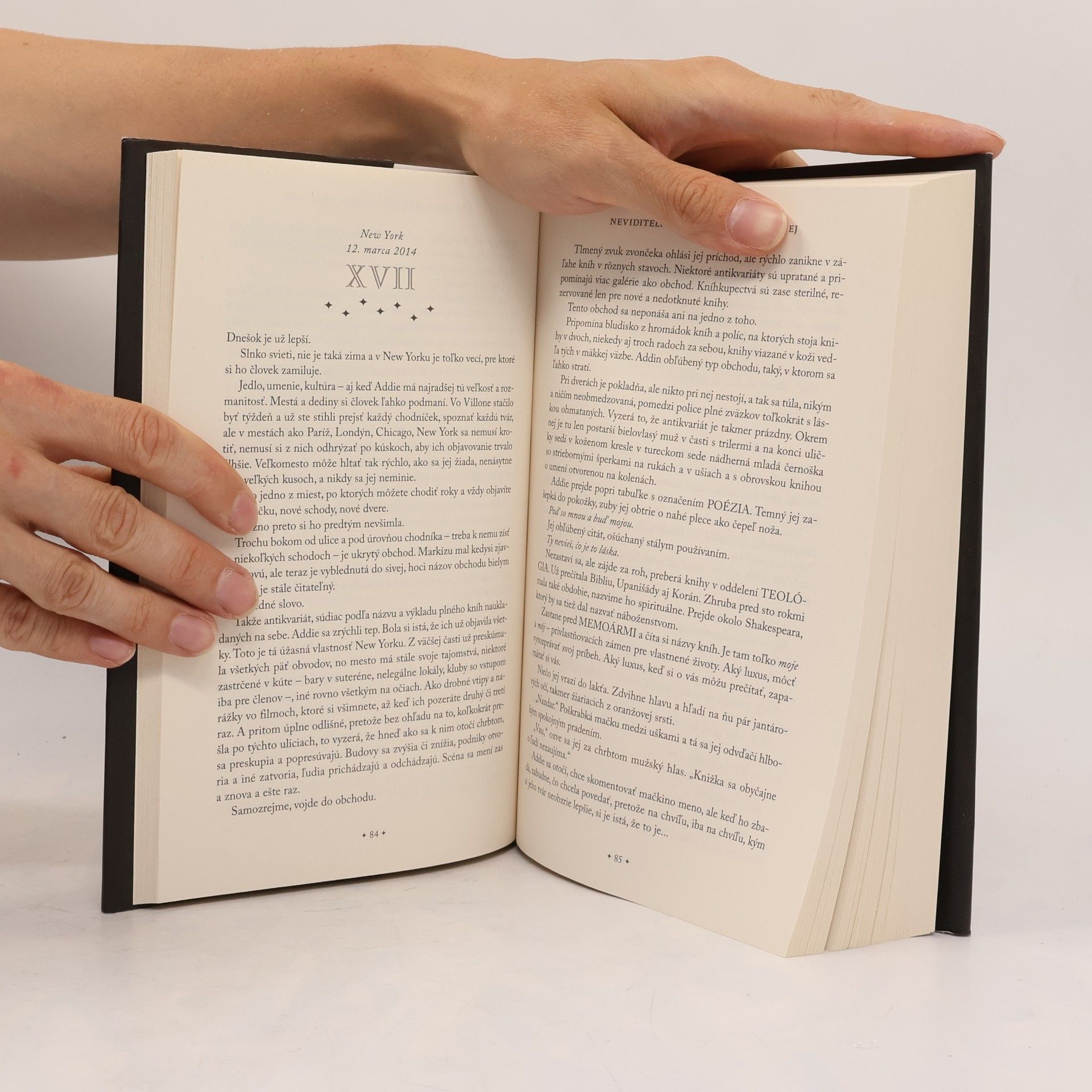 V. E. Schwab Neviditeľný život Addie LaRueovej